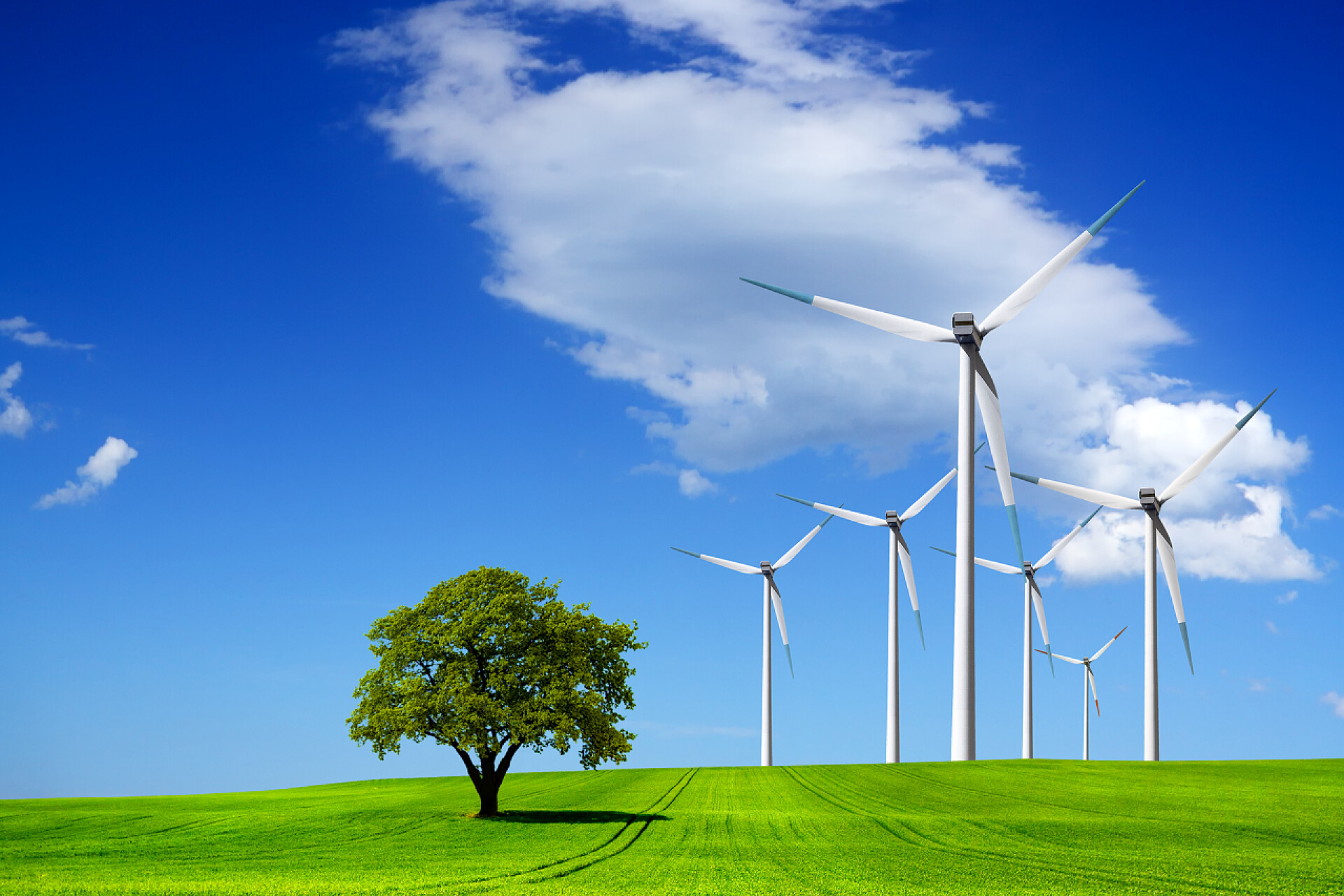 蓝天白云下的风力发电场生态