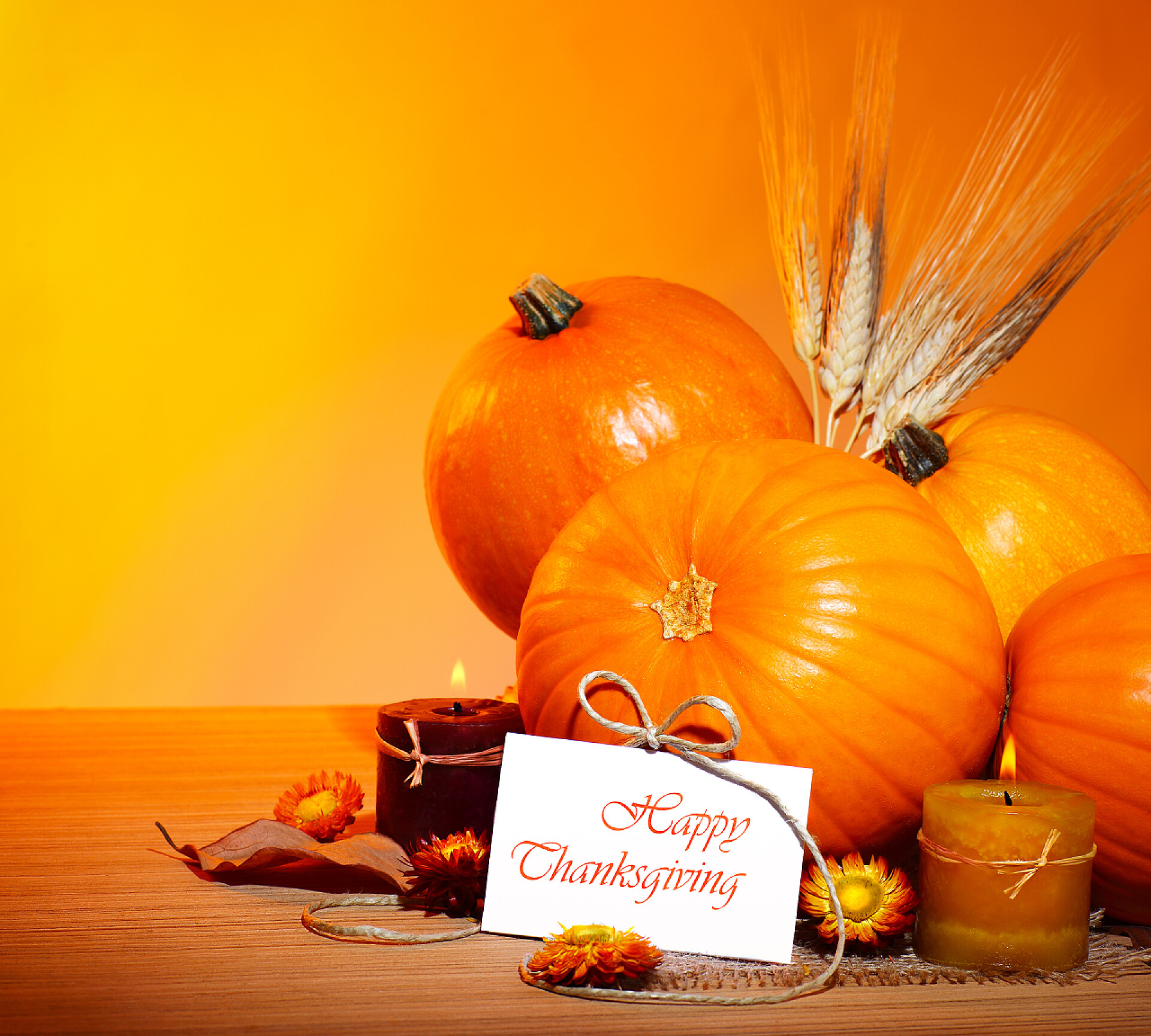 在橙色背景下的几个南瓜和一张贺卡感恩节假期装饰边框