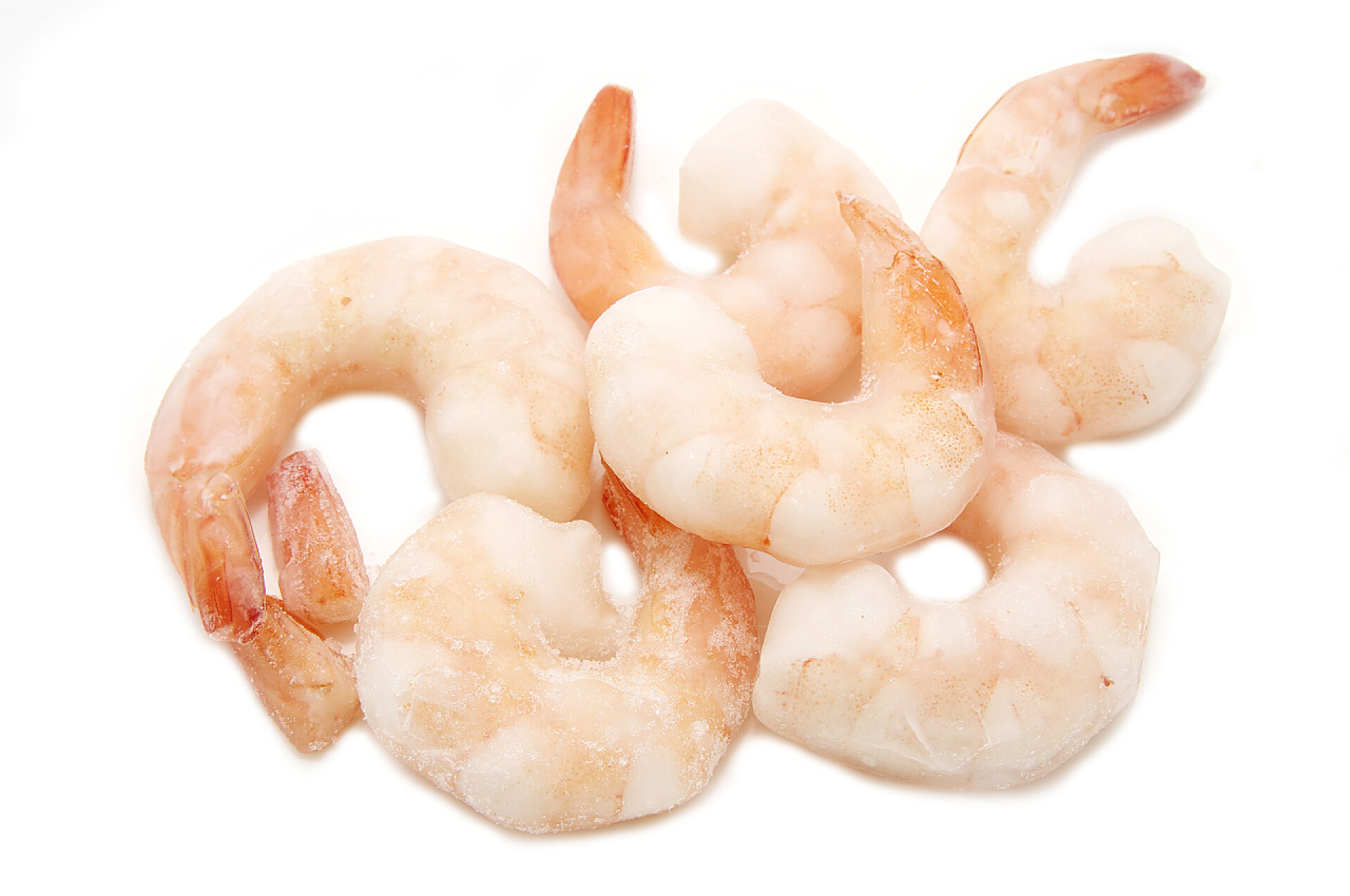 白色背景冷冻的新鲜虾仁冻的虾