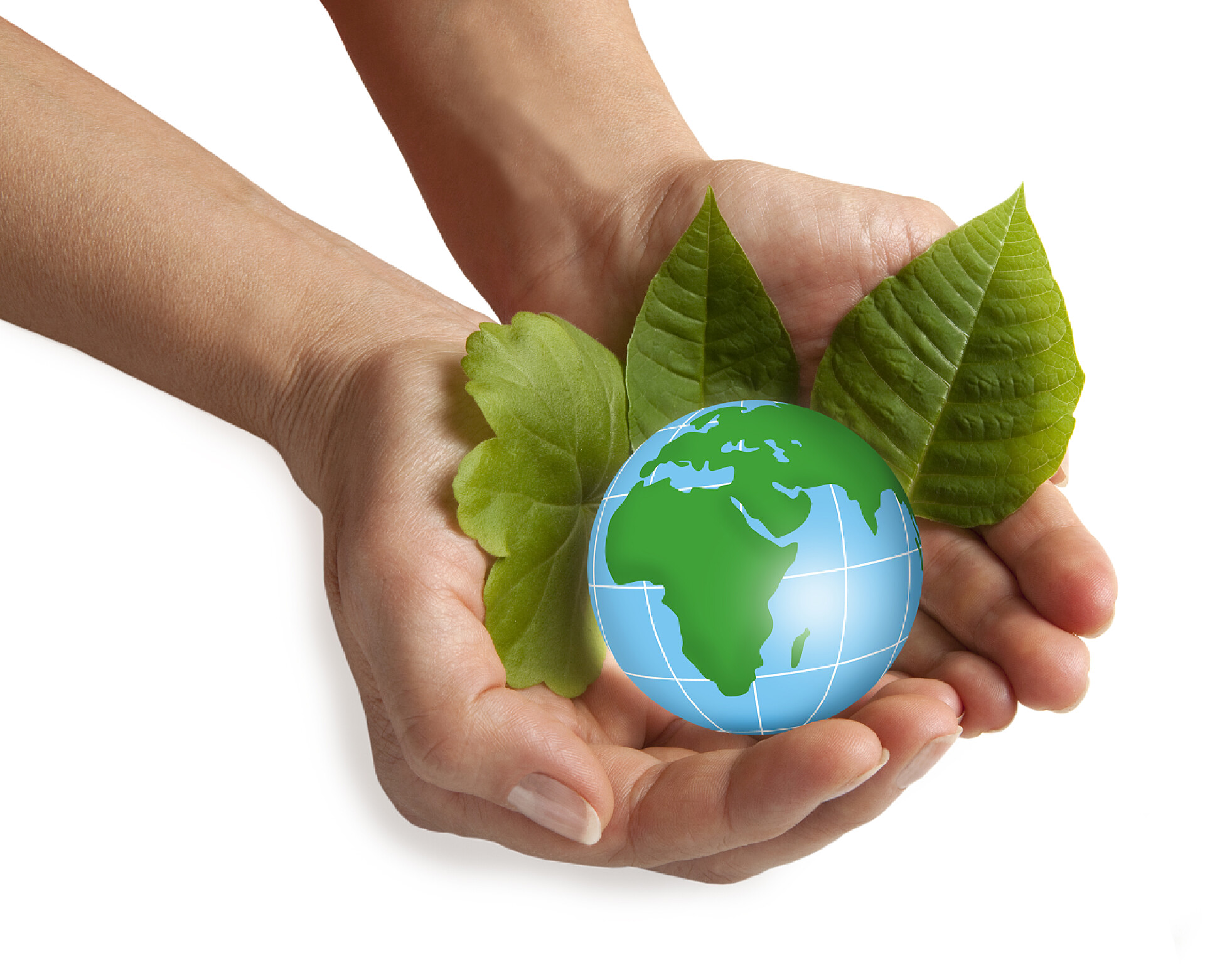 白色背景双手捧着地球拿蓝色地球的手