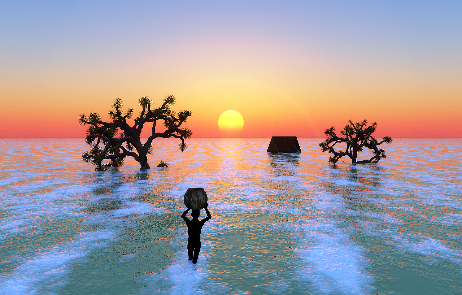 海边树木的剪影气候变化