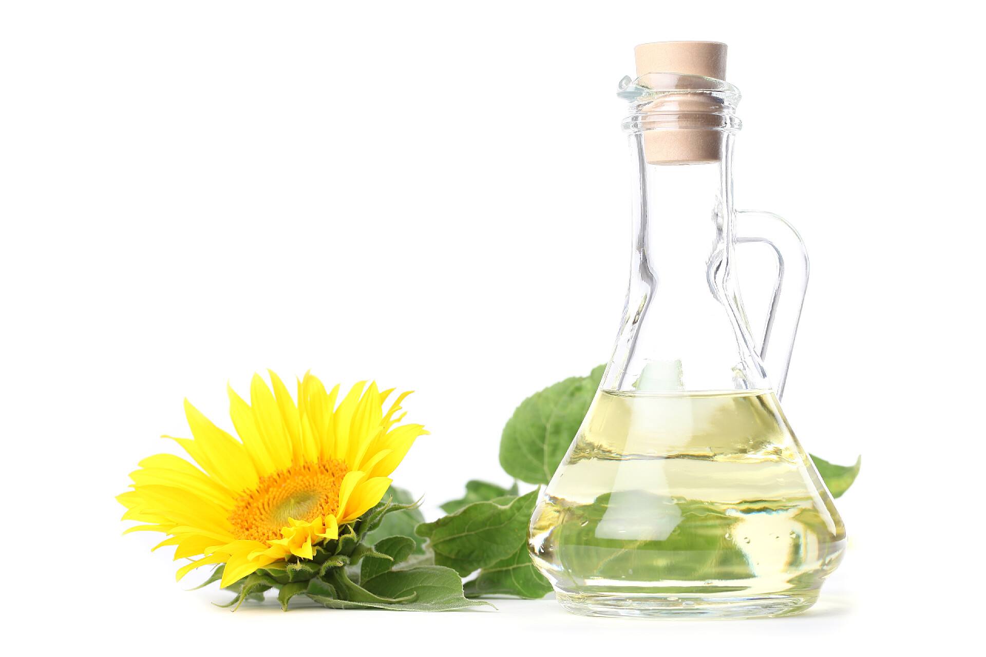 白色背景下的一瓶向日葵油向日葵油