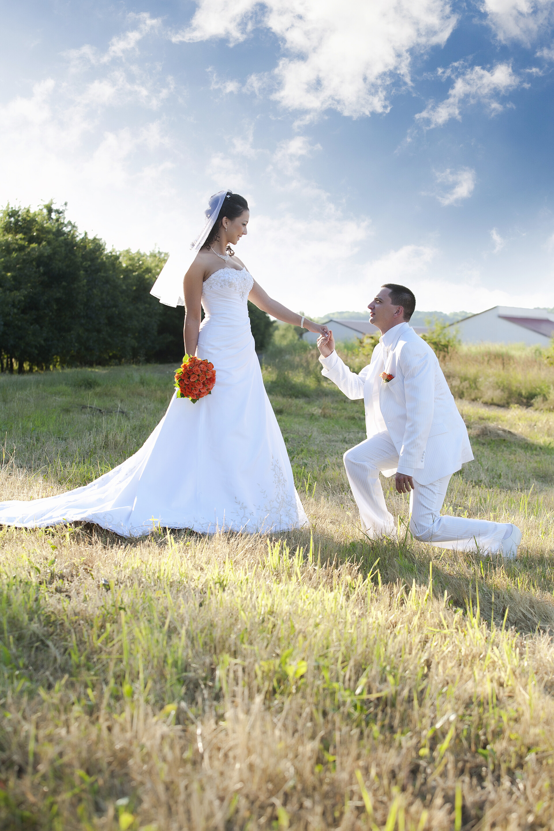 跪在草地上求婚的新郎跪在他的新娘新郎