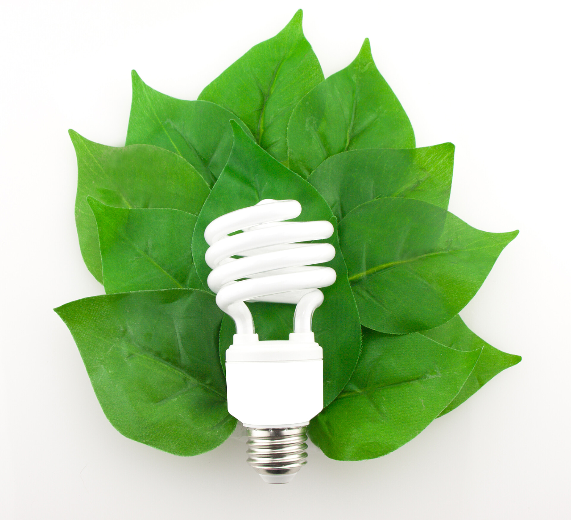 节能宣传绿叶上有一个白色节能灯泡绿色环保