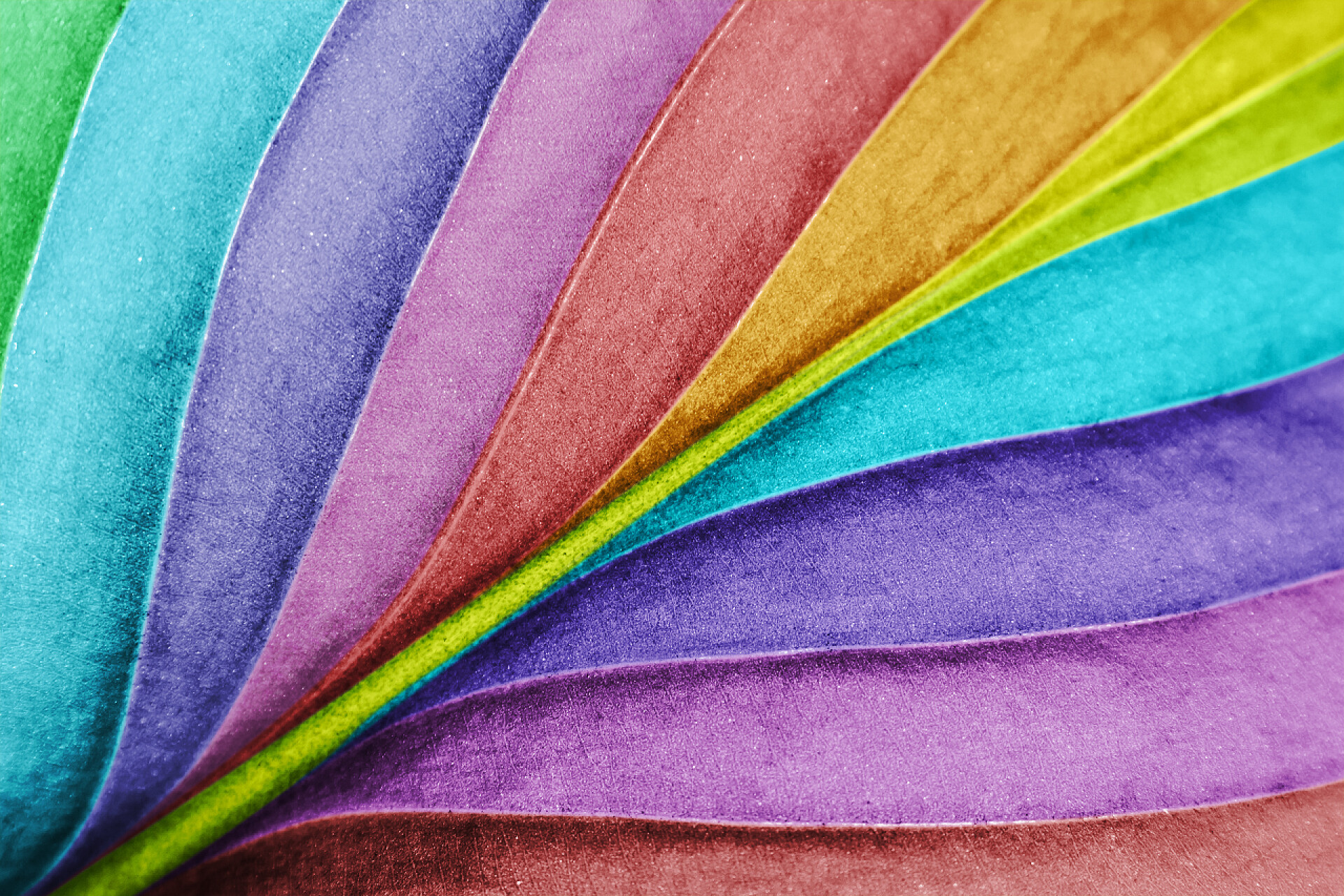 特写彩色叶子素描绘图叶子