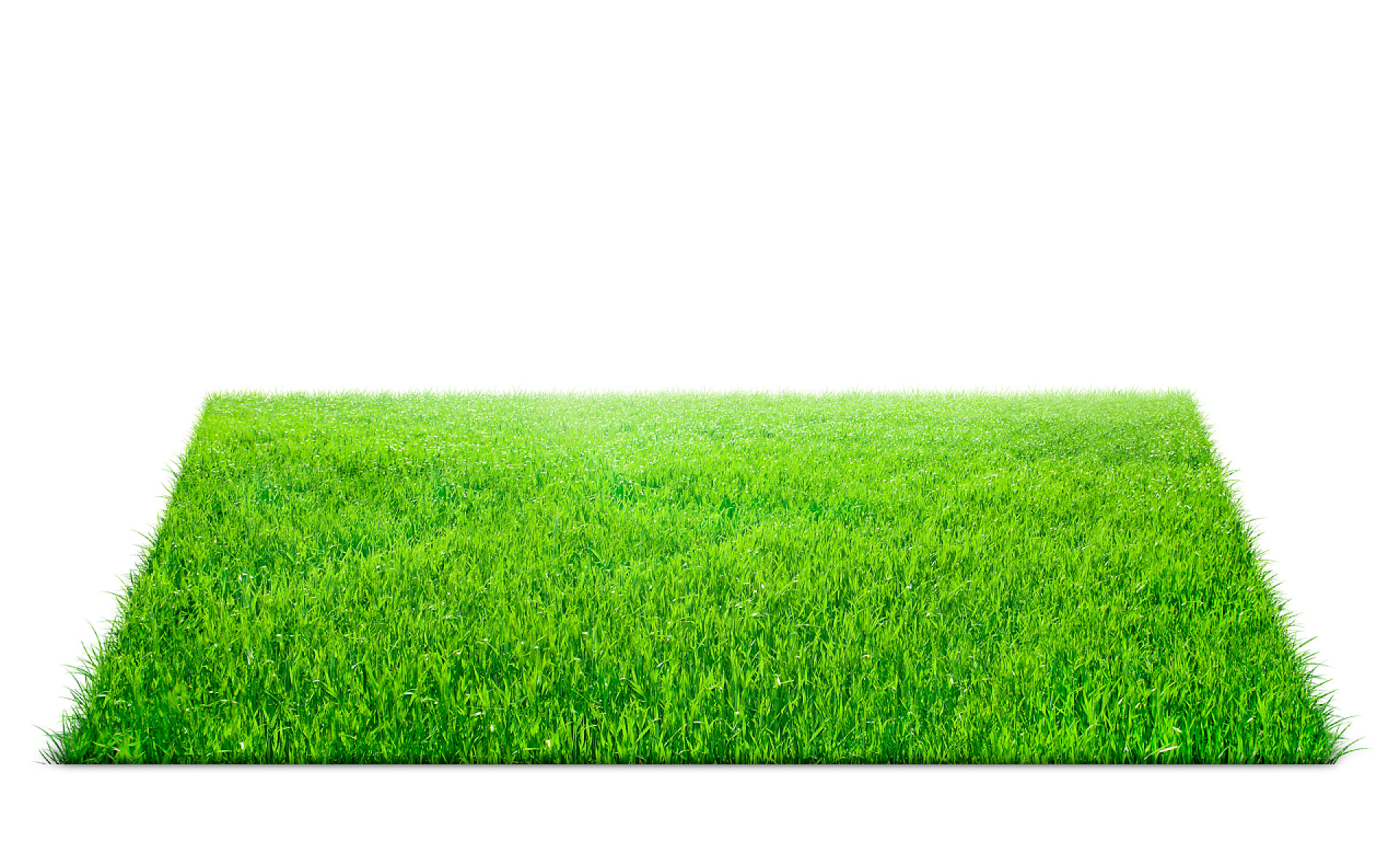 白色背景一块绿色的草坪外地