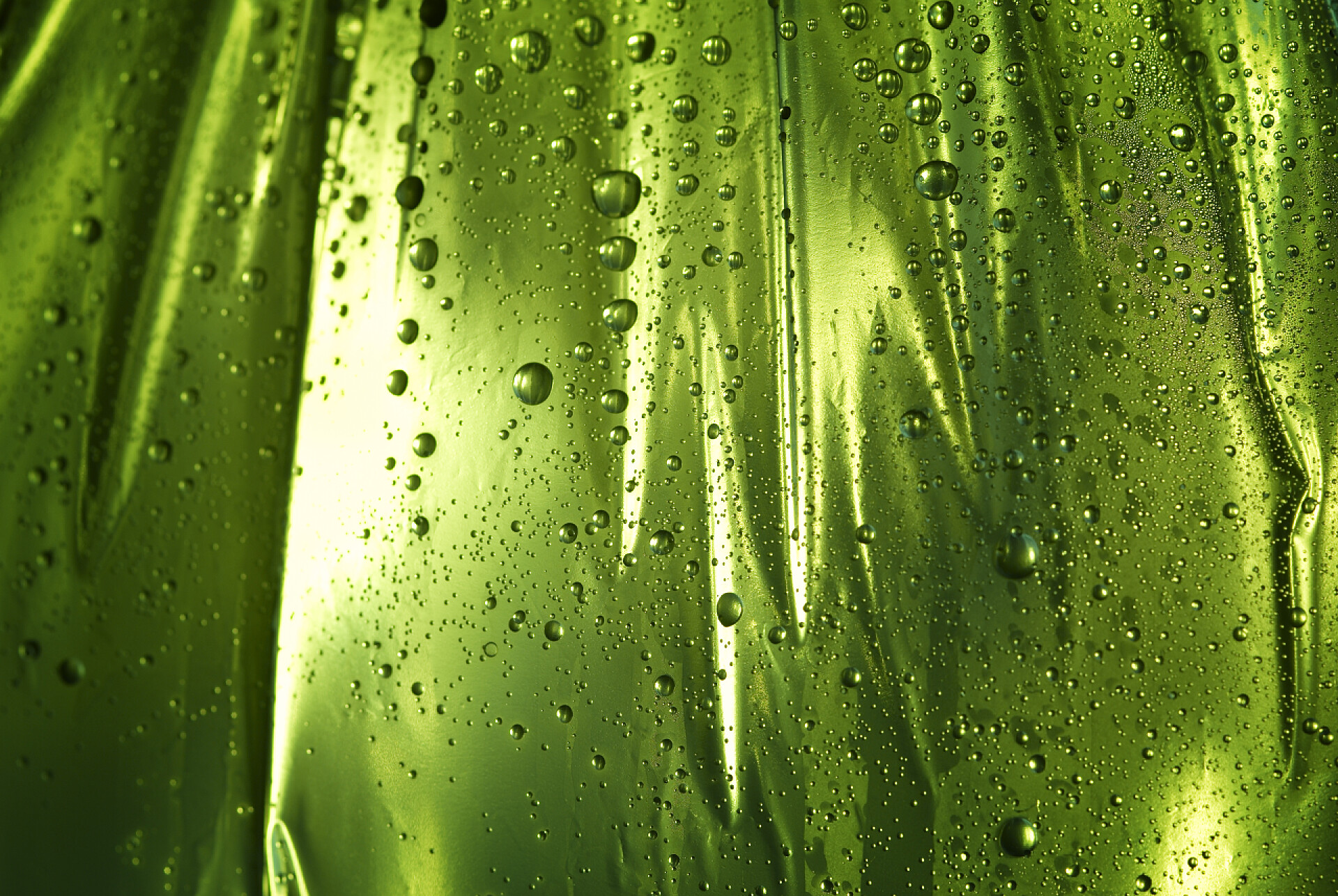 绿色树叶上的水滴与滴湿的背景