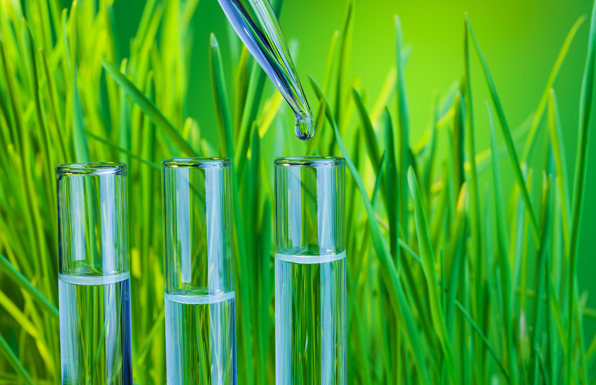 用滴管往试管里滴液体纯绿色