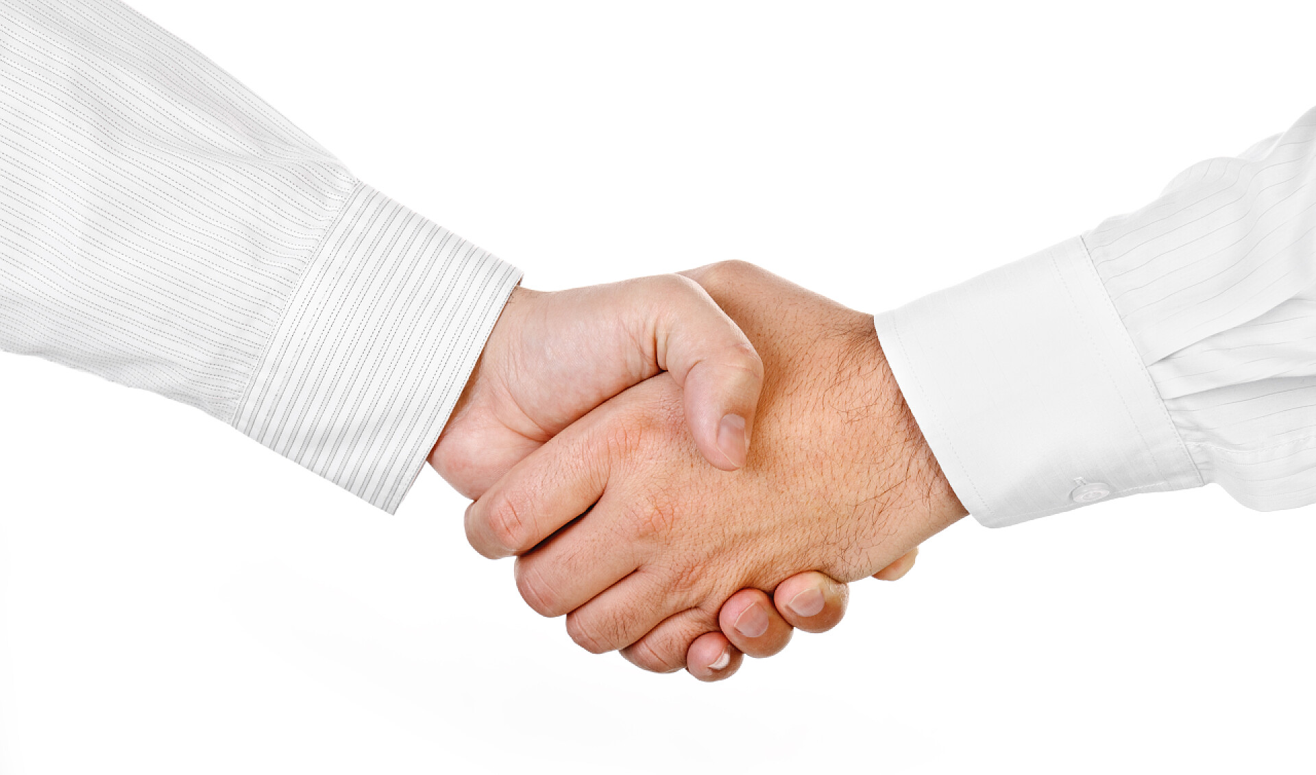 两个男性的握手孤立的两个男的握手