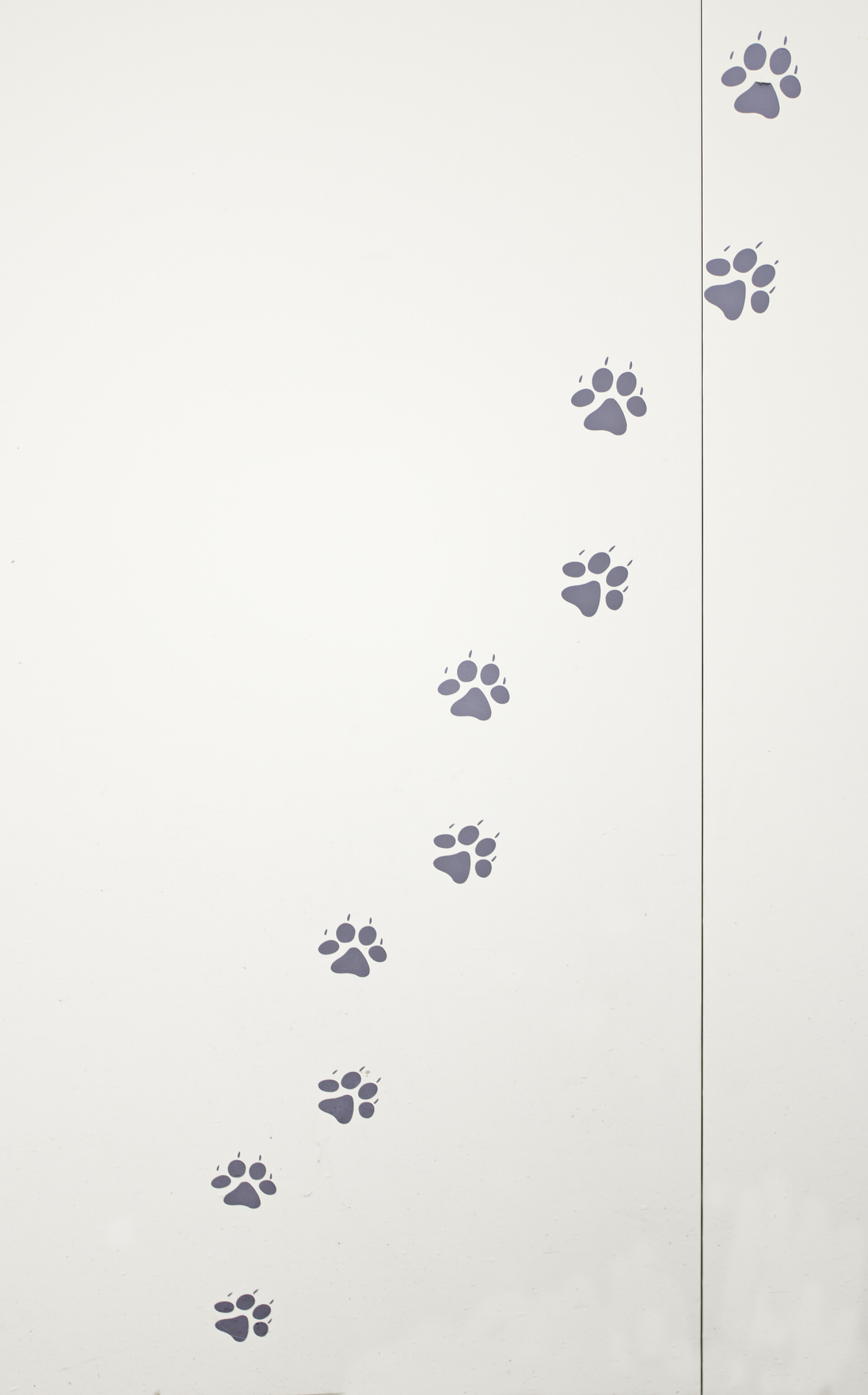 动物脚印画在墙上动物脚印