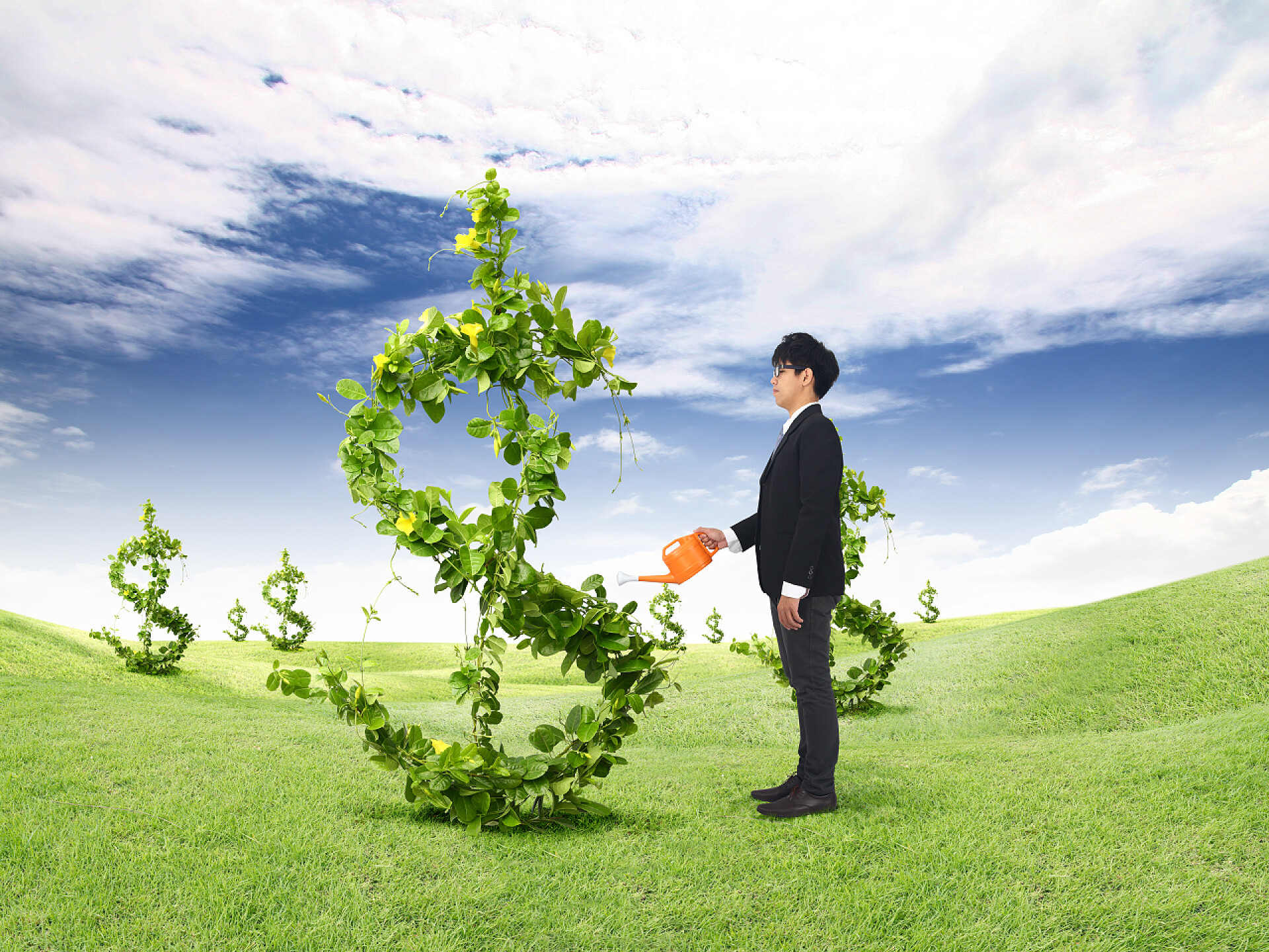 年轻商业男人给植物浇水投资