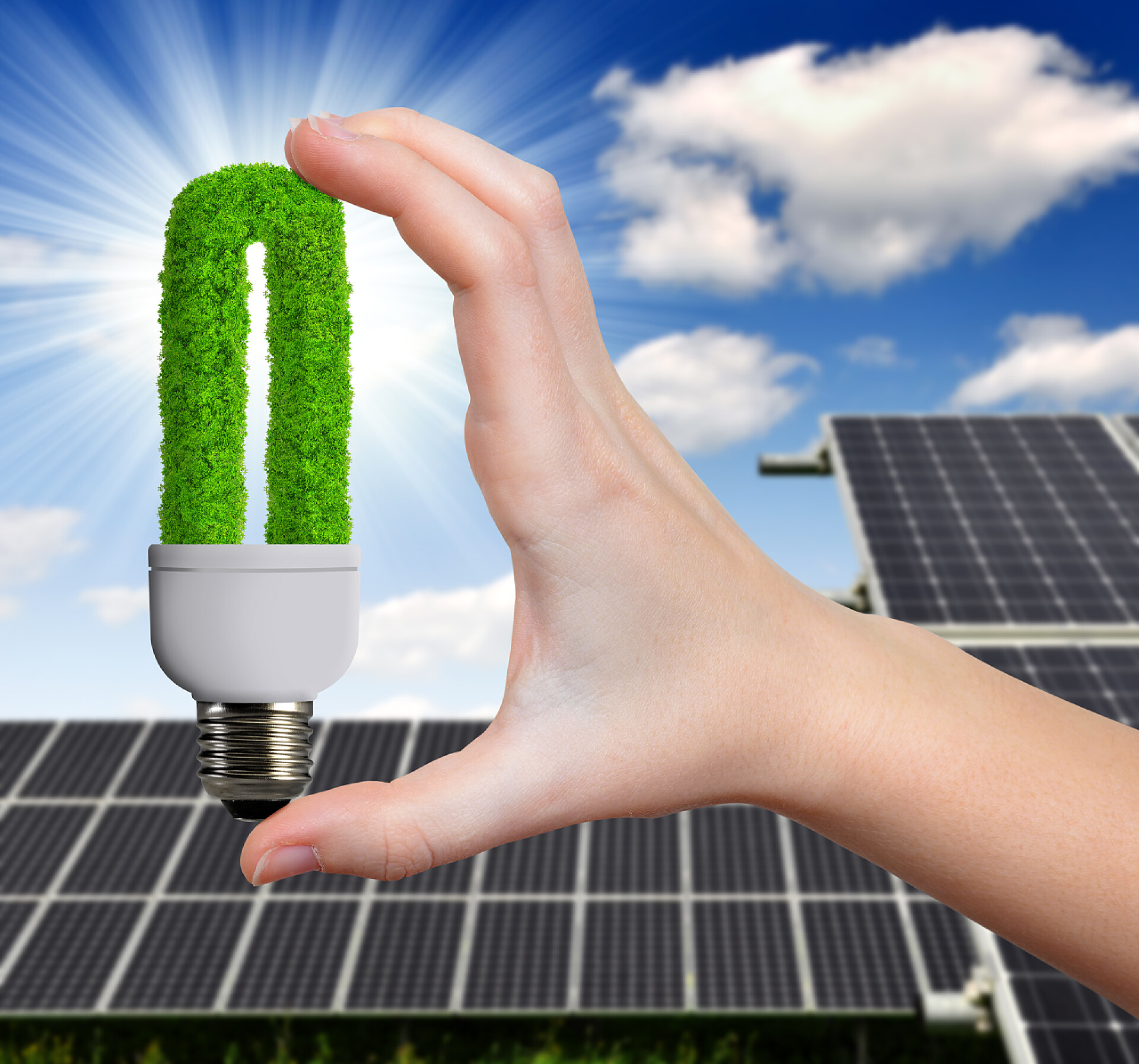 节能宣传3d太阳能电池板背景手握住绿色灯泡手举行绿色灯泡