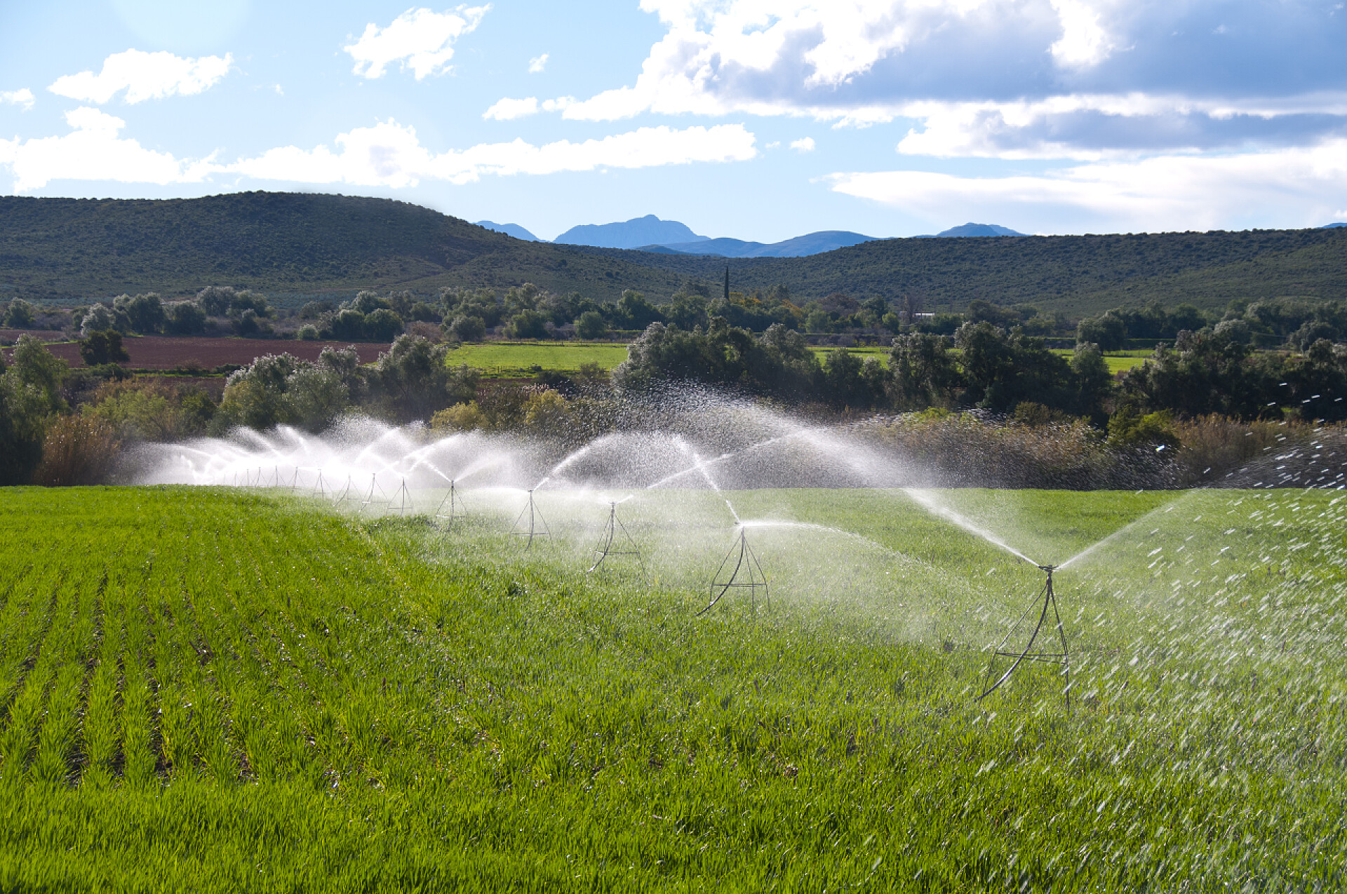 蓝天下水井正在自由的灌溉农田灌溉、 养殖