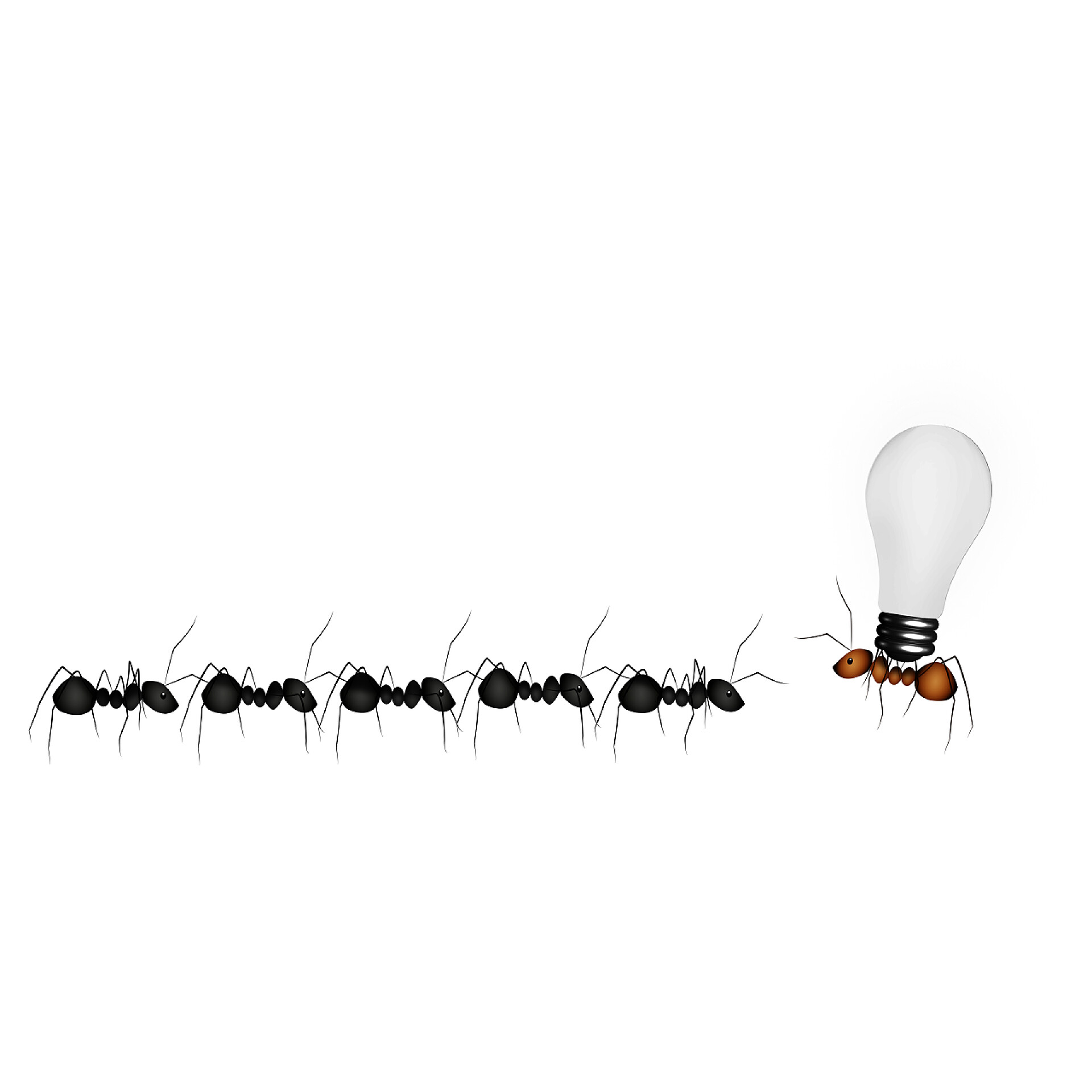 白色背景蚂蚁团队跟随其领导人背后的理念蚂蚁，业务团队