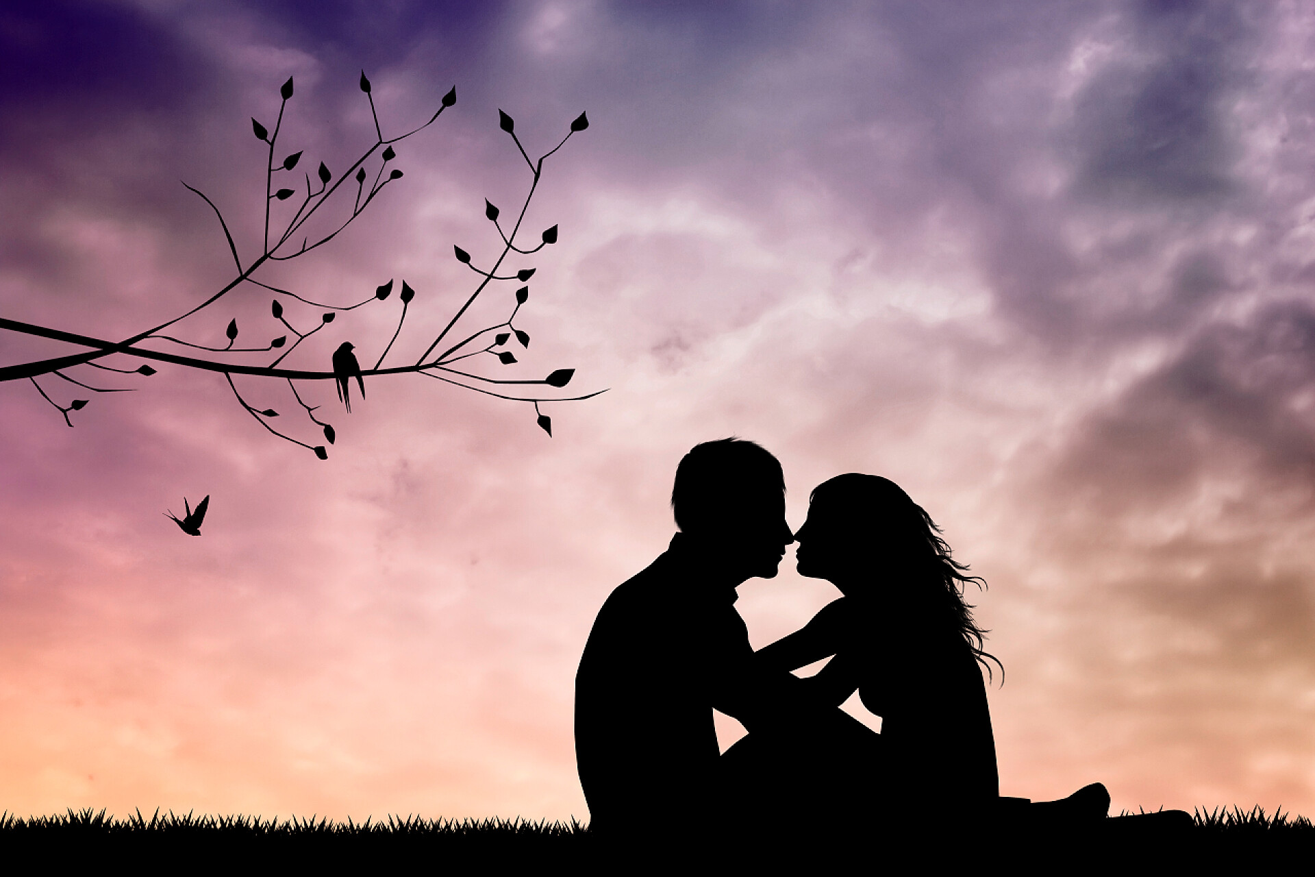 在日落时情侣亲吻的剪影日落时的情侣亲吻