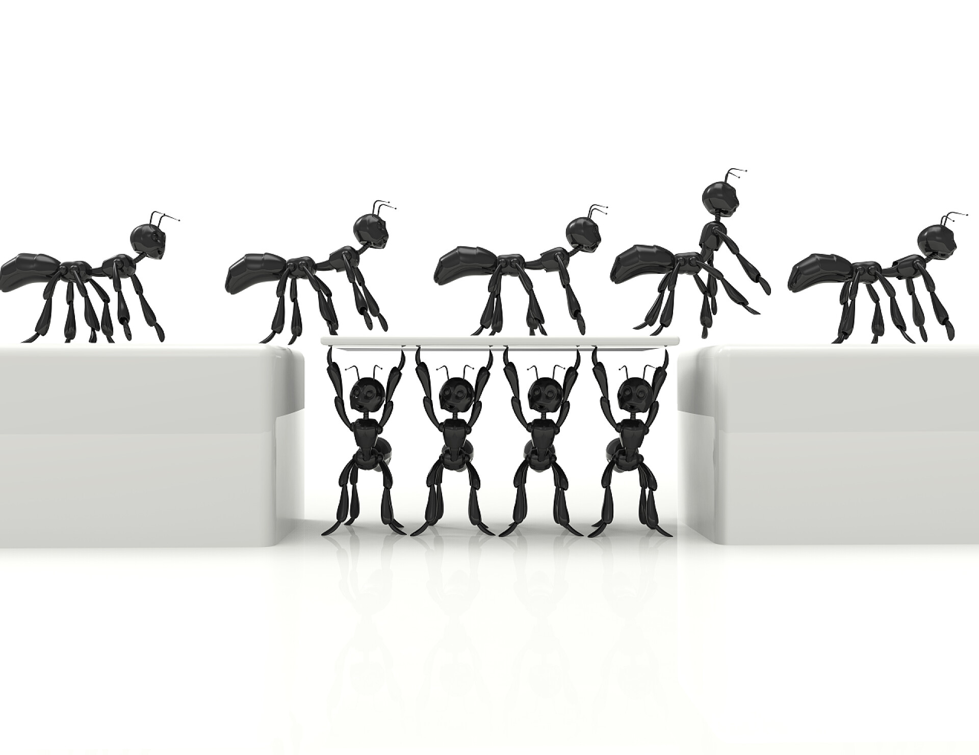 白色背景上蚂蚁的团队精神团队精神