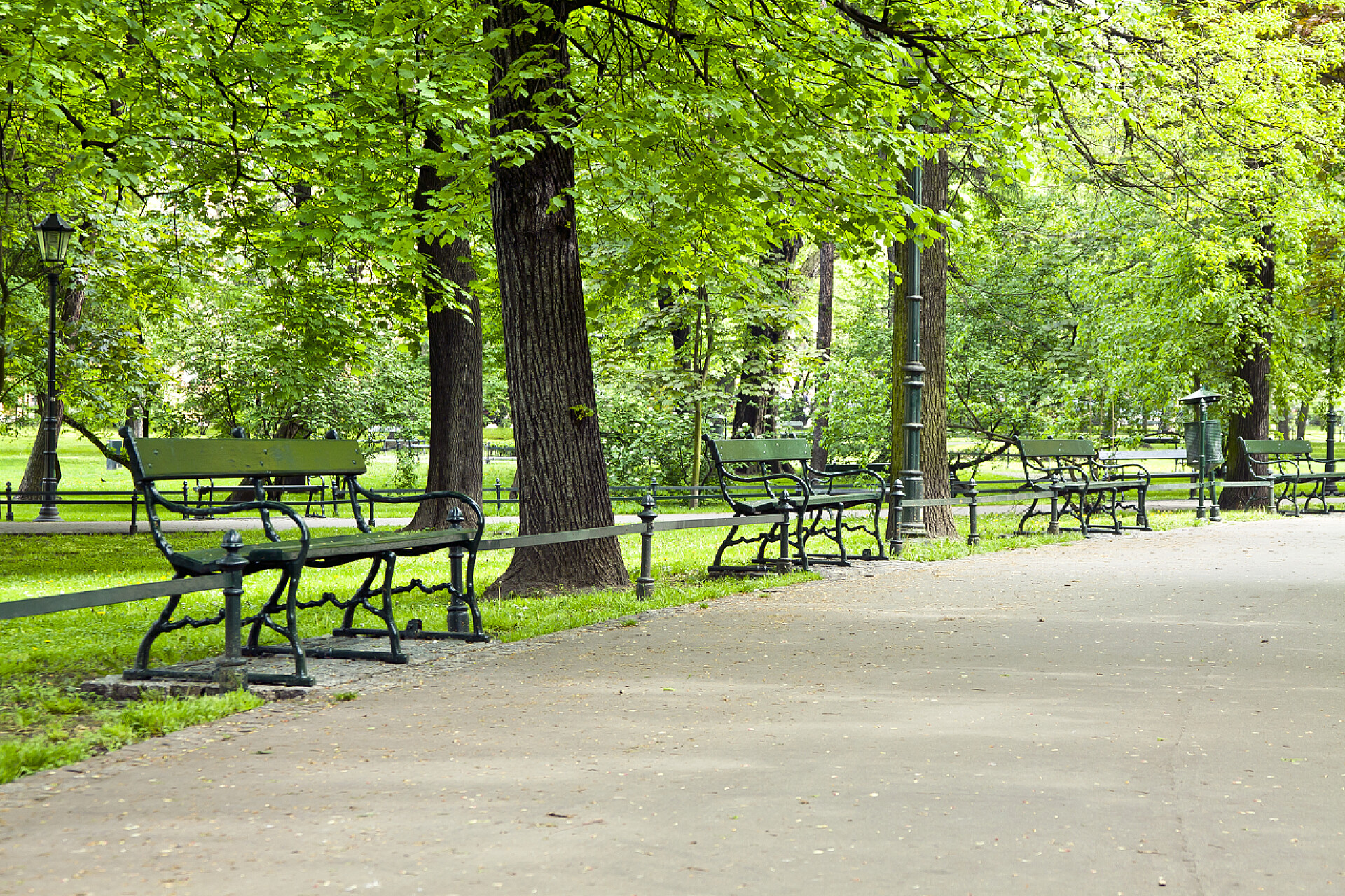 绿色的公园路径上的长凳在绿色公园长椅