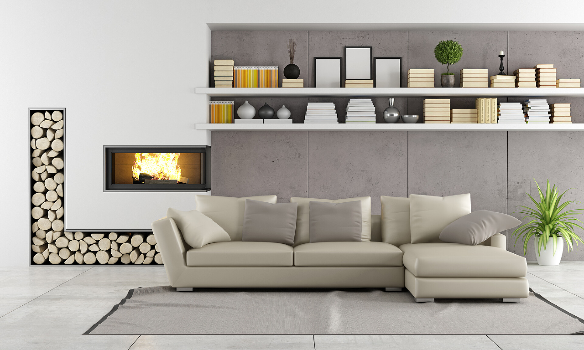 现代客厅的壁炉沙发与货架有壁炉的现代客厅