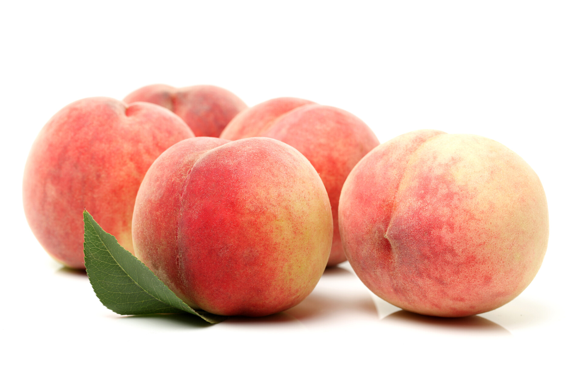 白色背景的五个新鲜桃子新鲜的桃子