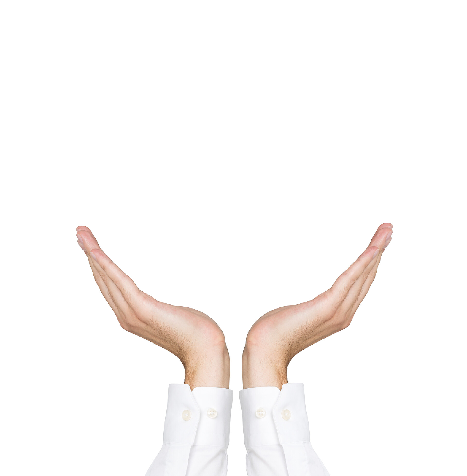 在白色的背景上手举起来手举起来