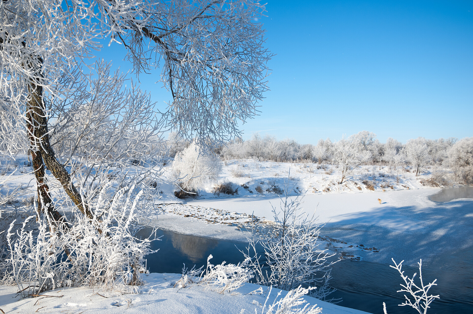 寒冷的冬天雪景冬季，冬季，冬季