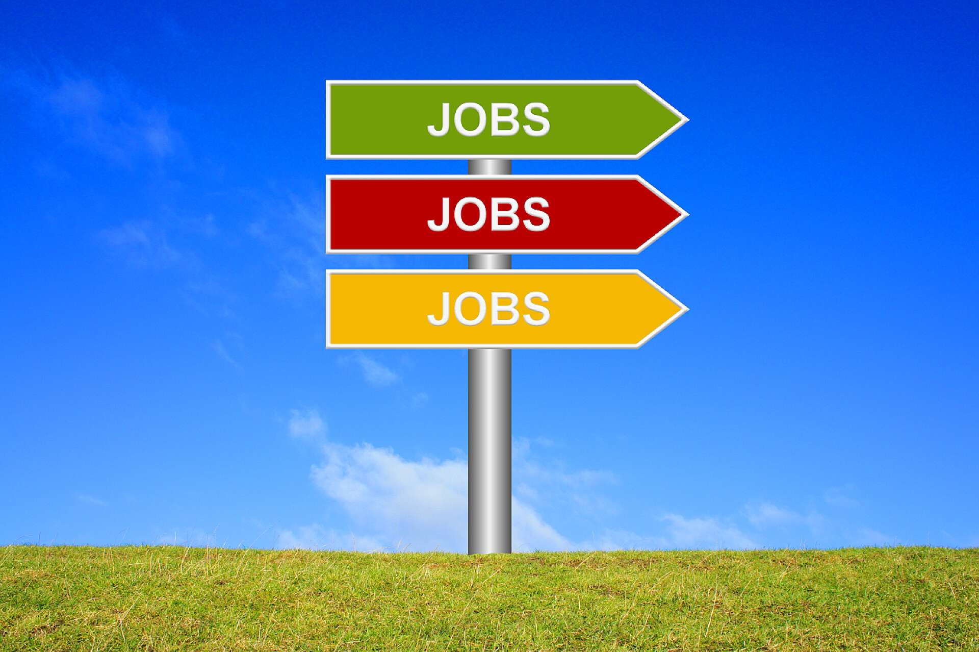 蓝天背景下草地上的彩色指示标路标工作工作工作