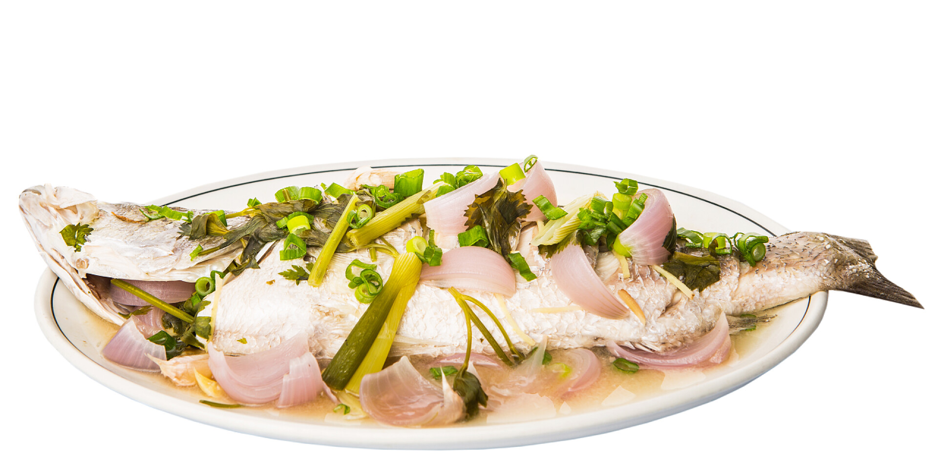 横版白色背景下的糖醋蒸尖吻鲈鱼蒸亚洲低音鱼