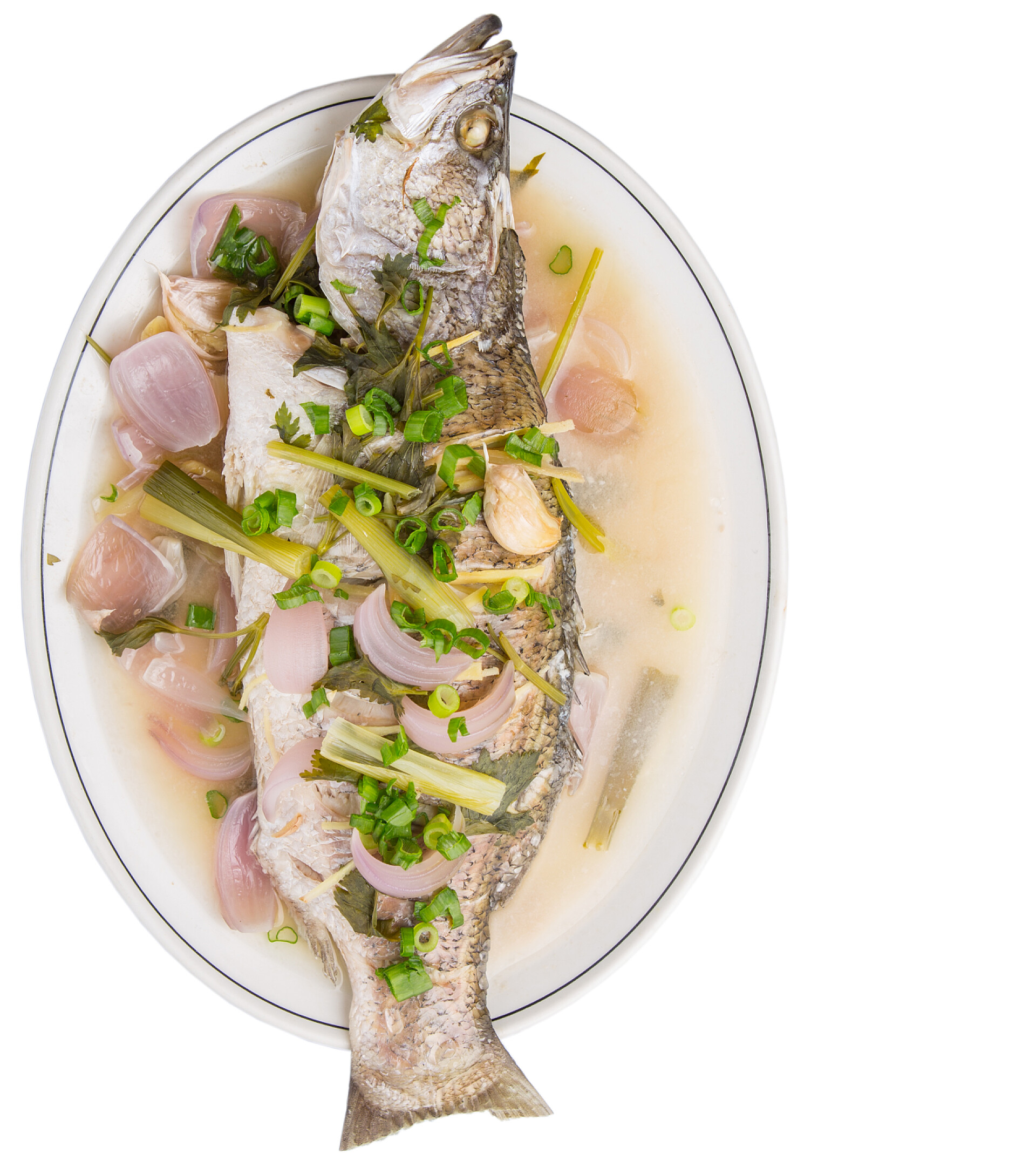 白色背景下的竖版糖醋蒸尖吻鲈鱼蒸亚洲低音鱼