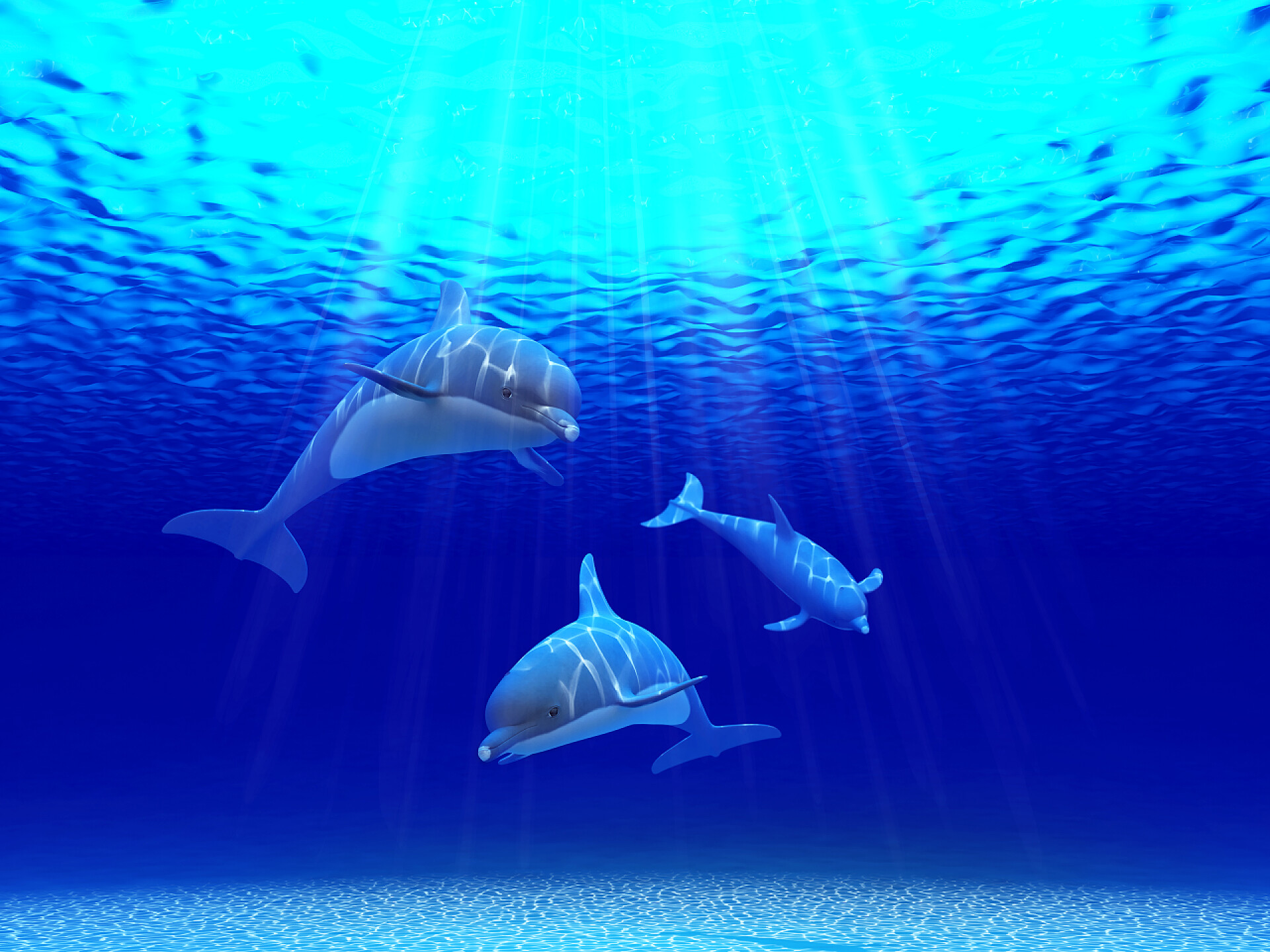 三只海豚在海洋中游泳三只海豚在海洋中游泳