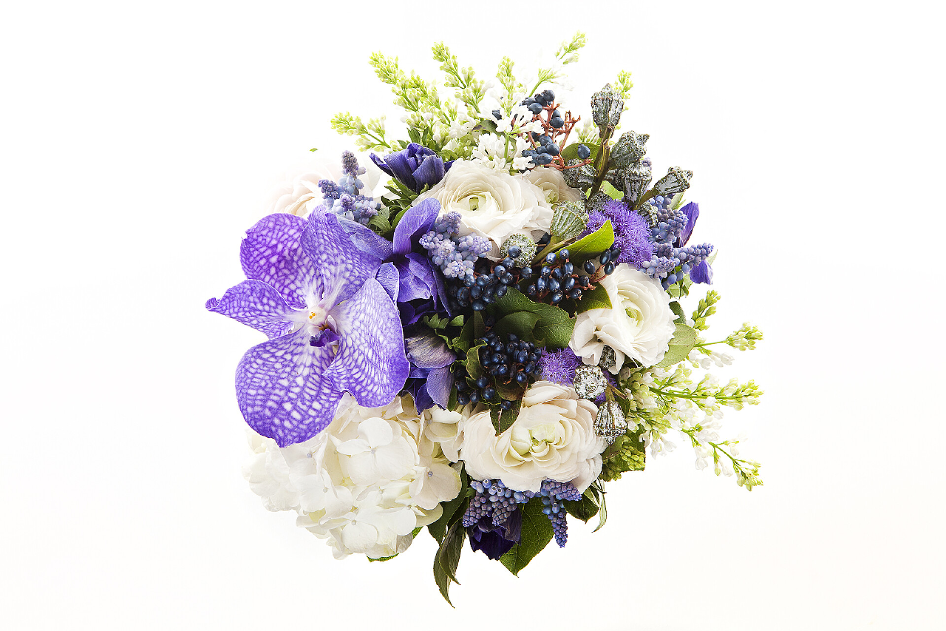 白色背景下的五颜六色的花束一束鲜花