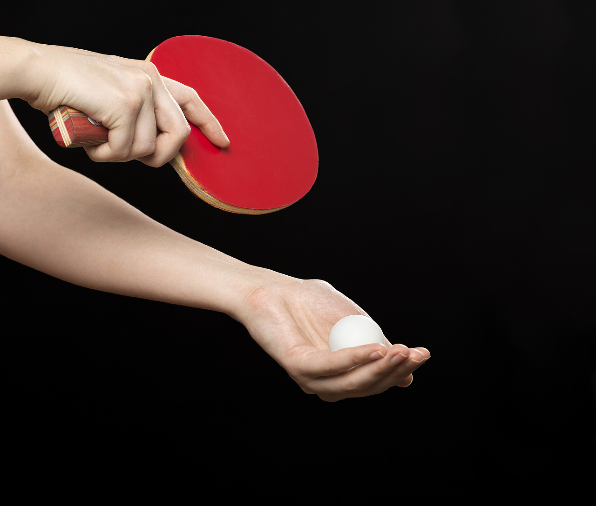 黑色背景下拿着乒乓球拍与球的手球拍与球的乒乓球手