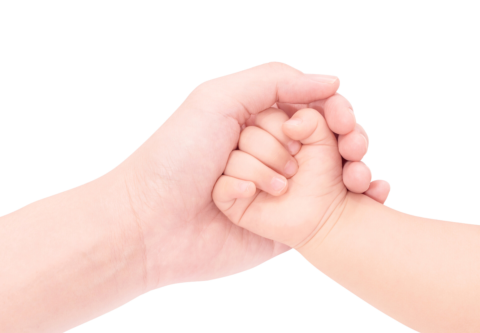 白色背景和宝宝手牵手的妈妈手牵手的宝贝爱孤立在白色背景