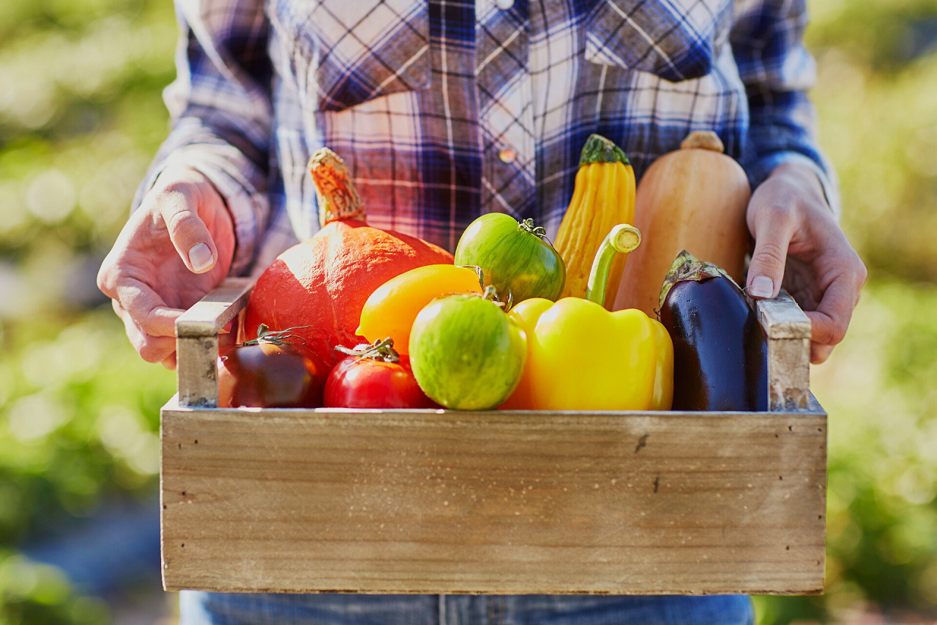 女子抱着装满新鲜蔬菜水果的箱子年轻女子捧着木箱与蔬菜