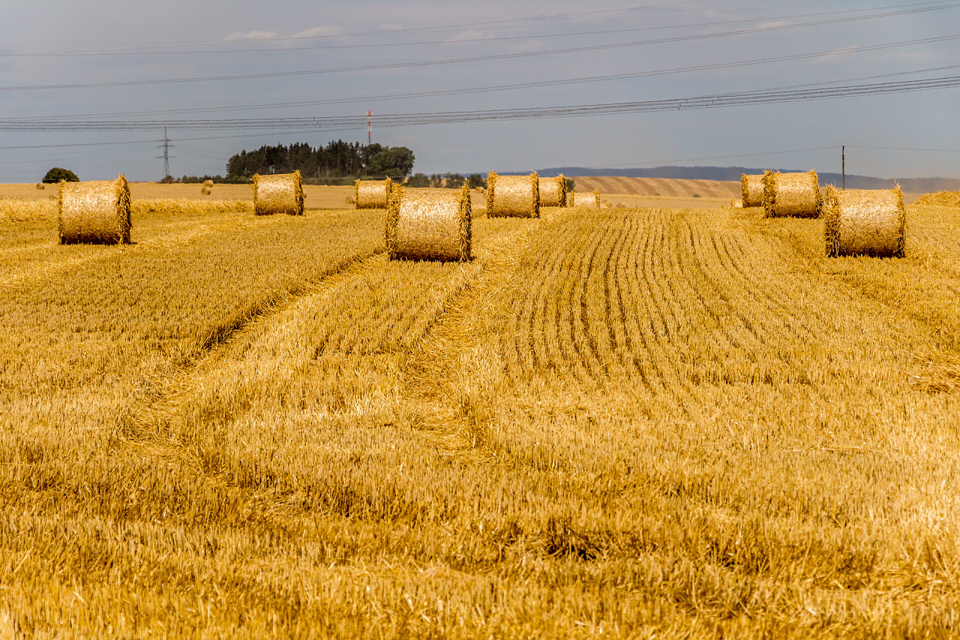 丰收后的稻田美景美丽的风景与稻草包