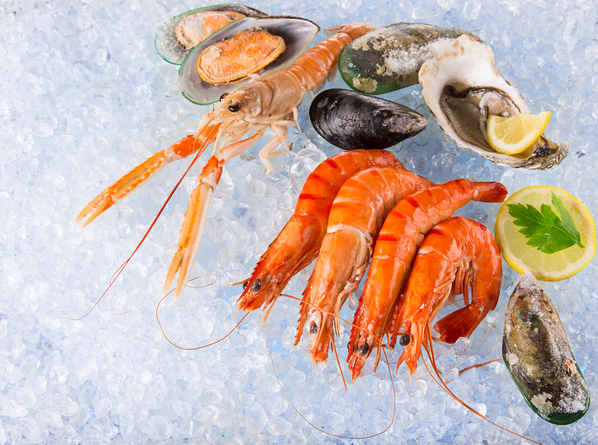 新鲜的海鲜放在碎冰上新鲜的海鲜，在碎冰上.