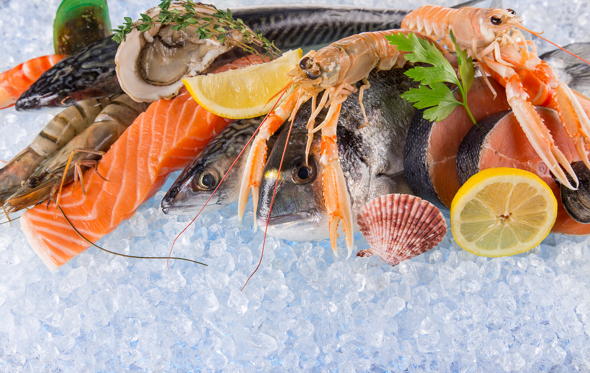 新鲜的海鲜放在碎冰上新鲜的海鲜，在碎冰上.