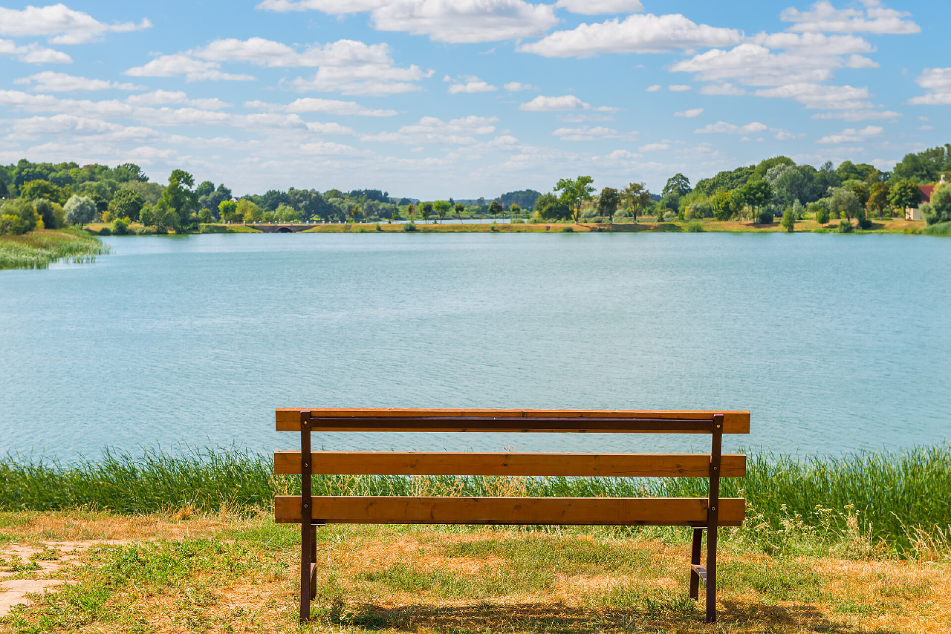 美丽的夏天湖边景观美丽的夏天景观。湖附近的空板凳