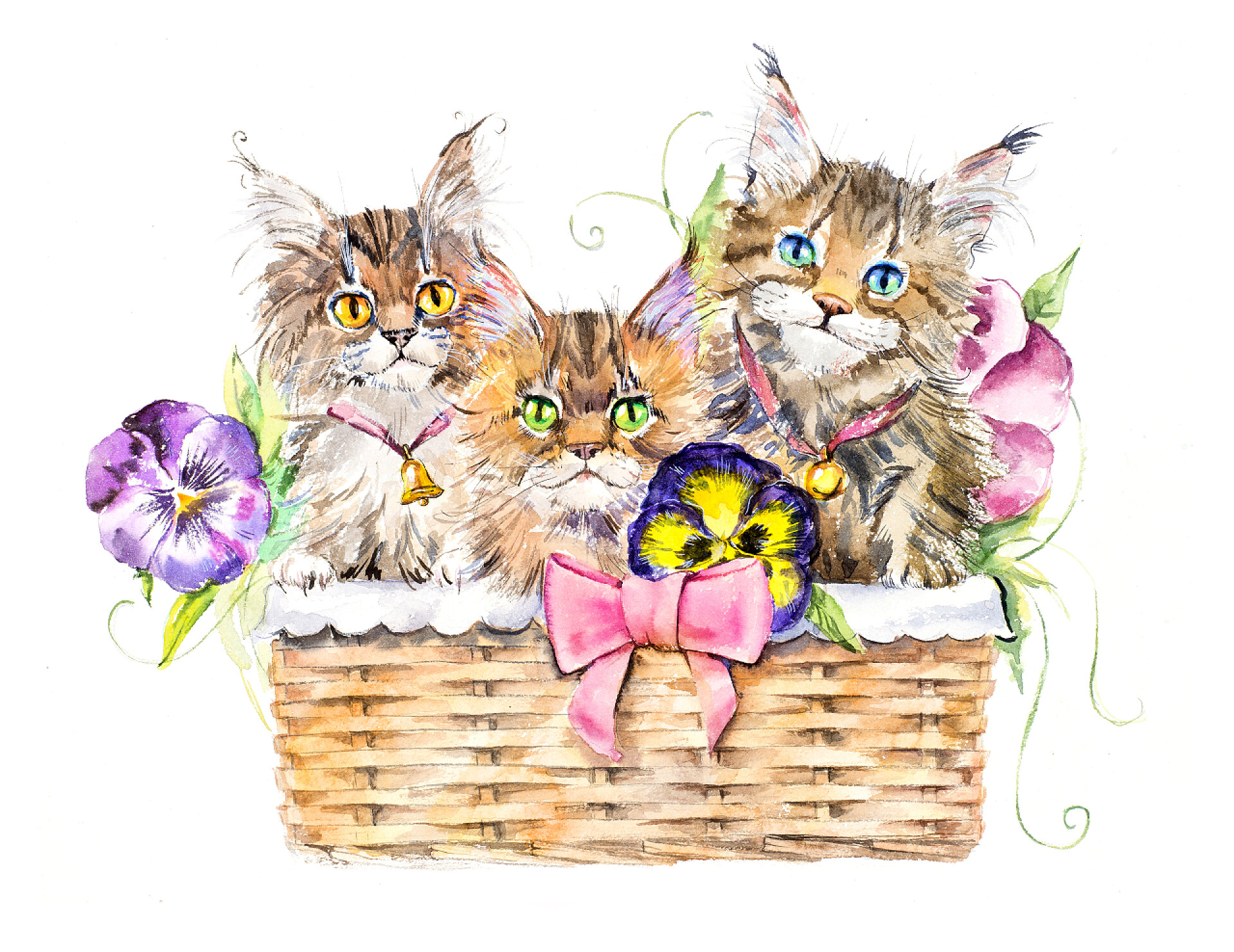 白色背景上的水彩手绘插图三只猫与花篮子. 
