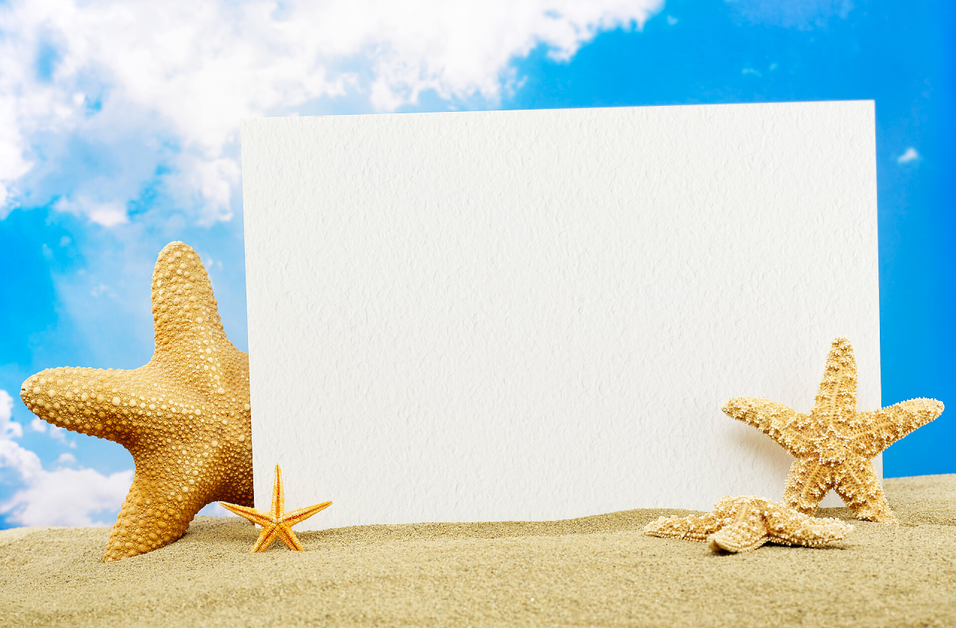 在海滩上的留言板留言板上海滩