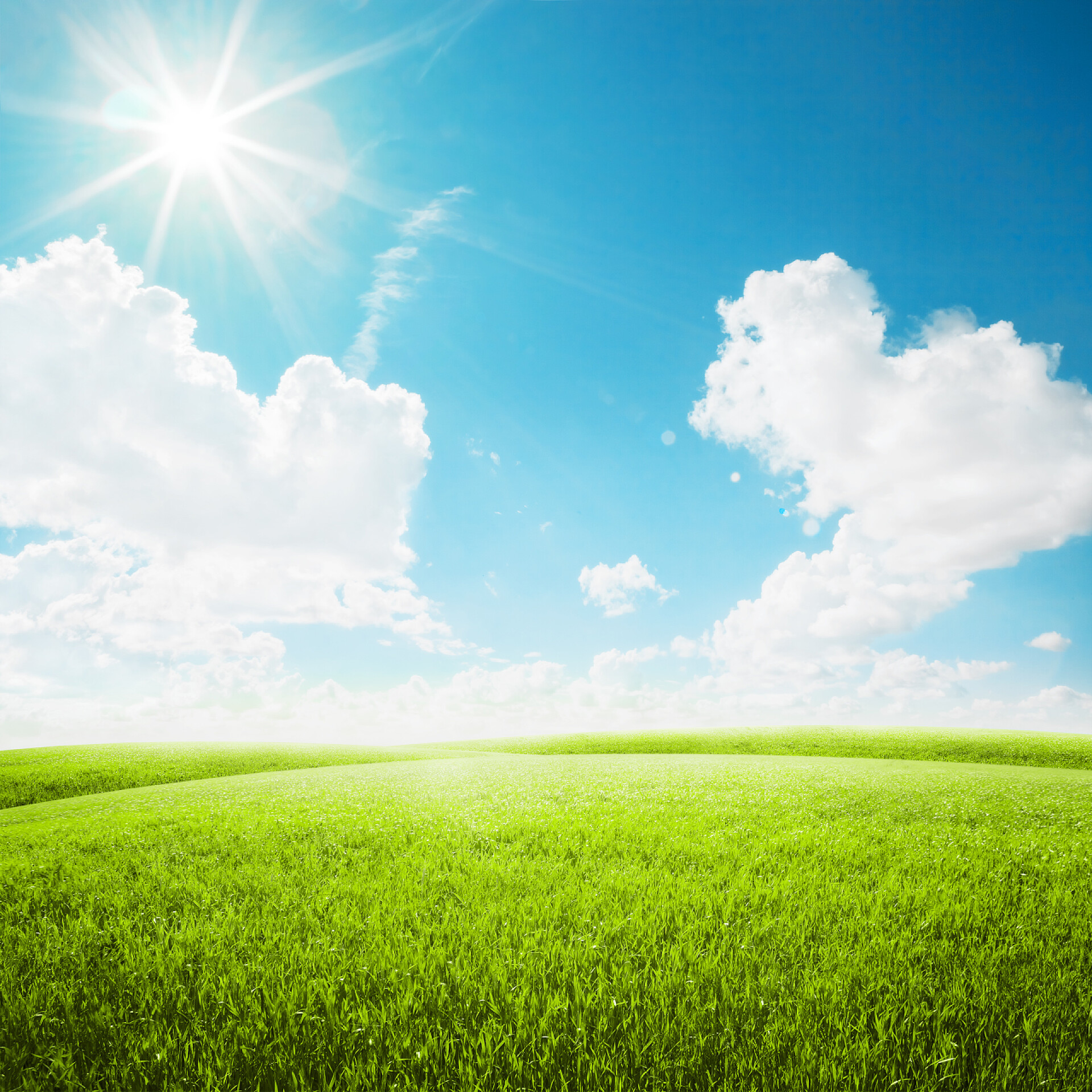 蓝天下的绿色草地蓝天下的绿地