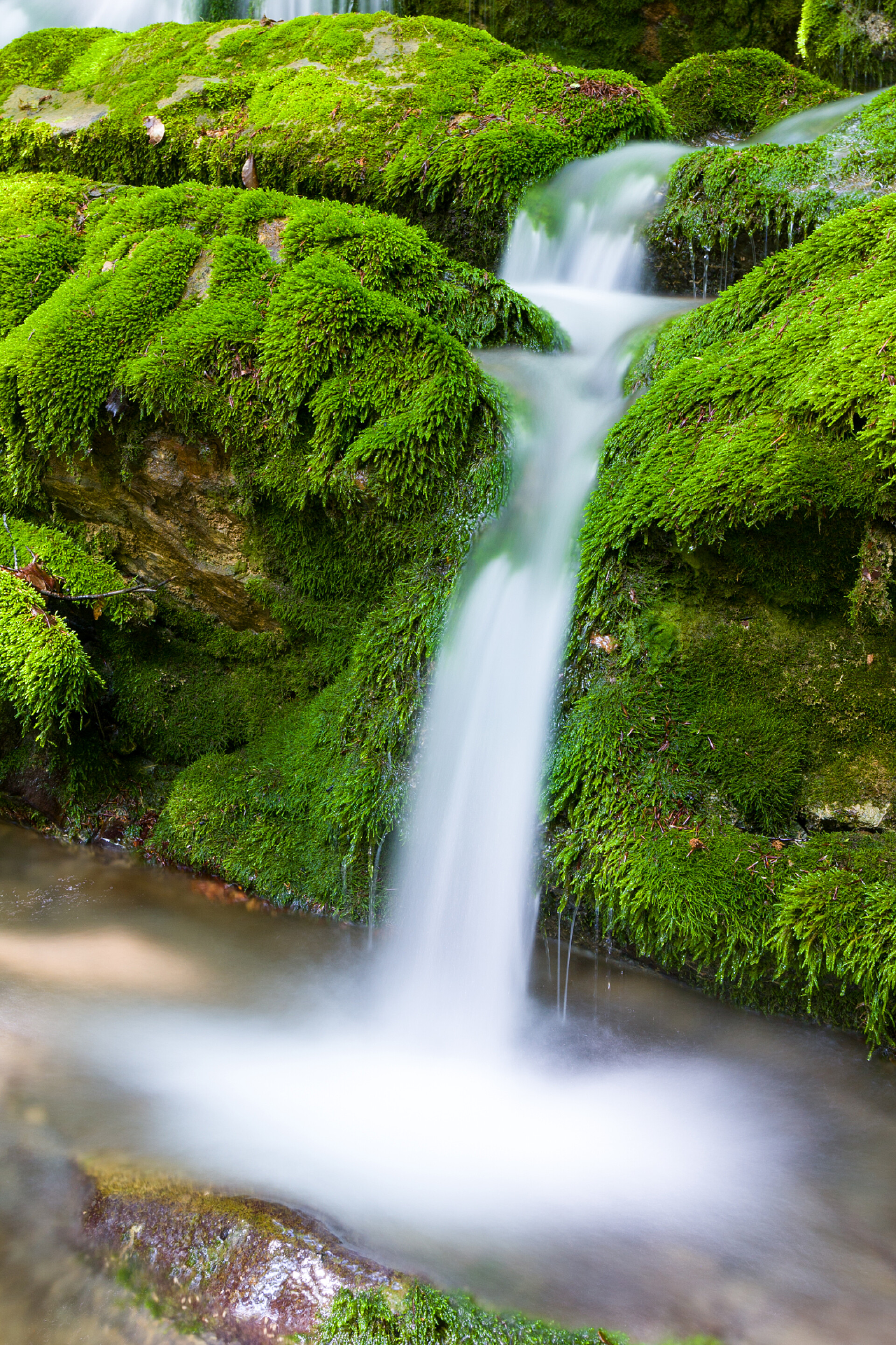 山间小溪绿色树林间流下瀑布旅游配图小山溪
