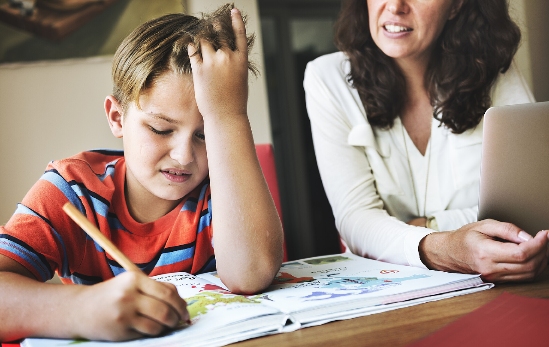 一名母亲带着儿子做作业学习教育配图母亲带着儿子做作业 