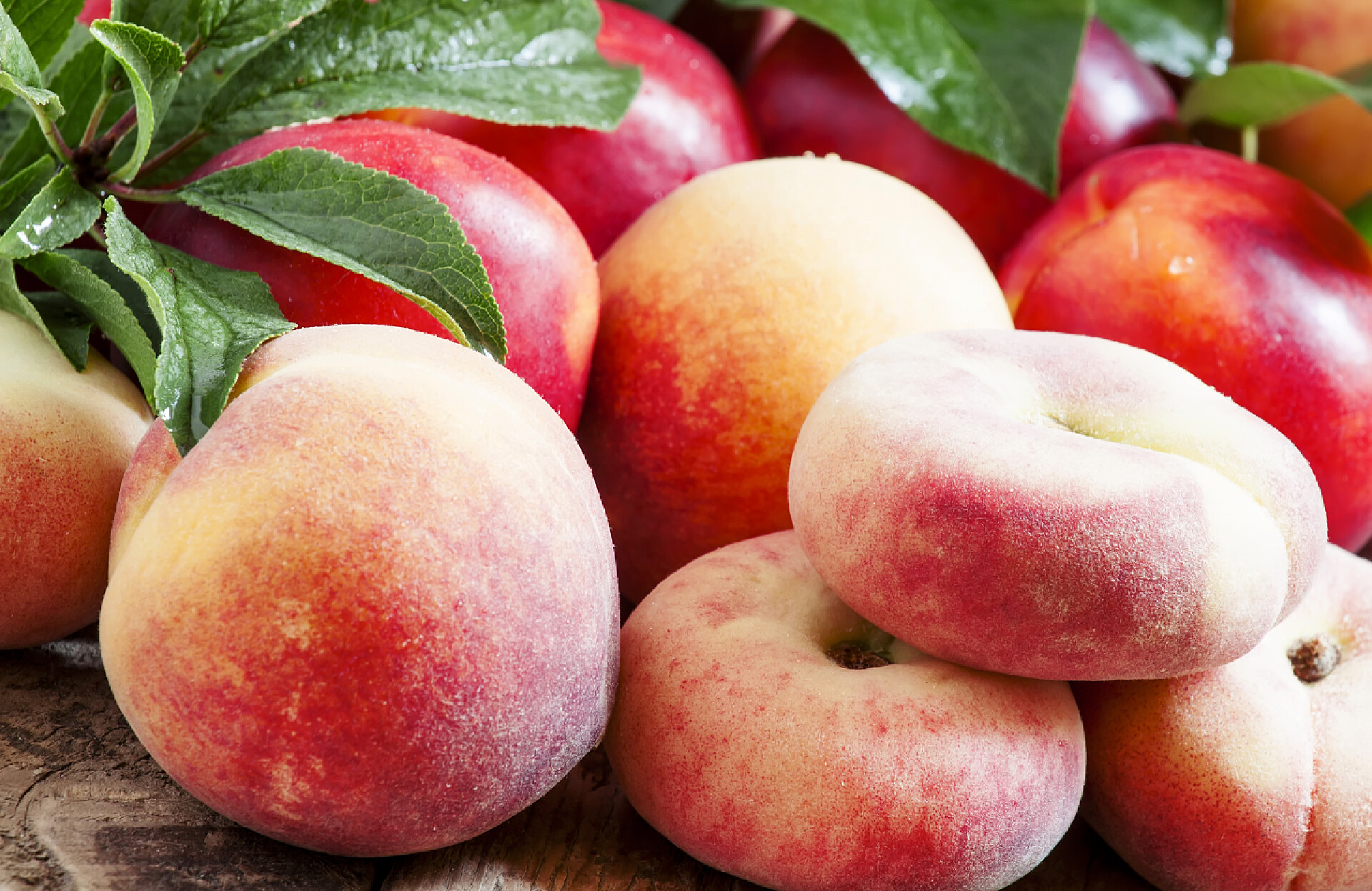 各种各样的桃子干净营养保健配图各种各样的桃子︰ 大桃、 油桃、 蟠桃 