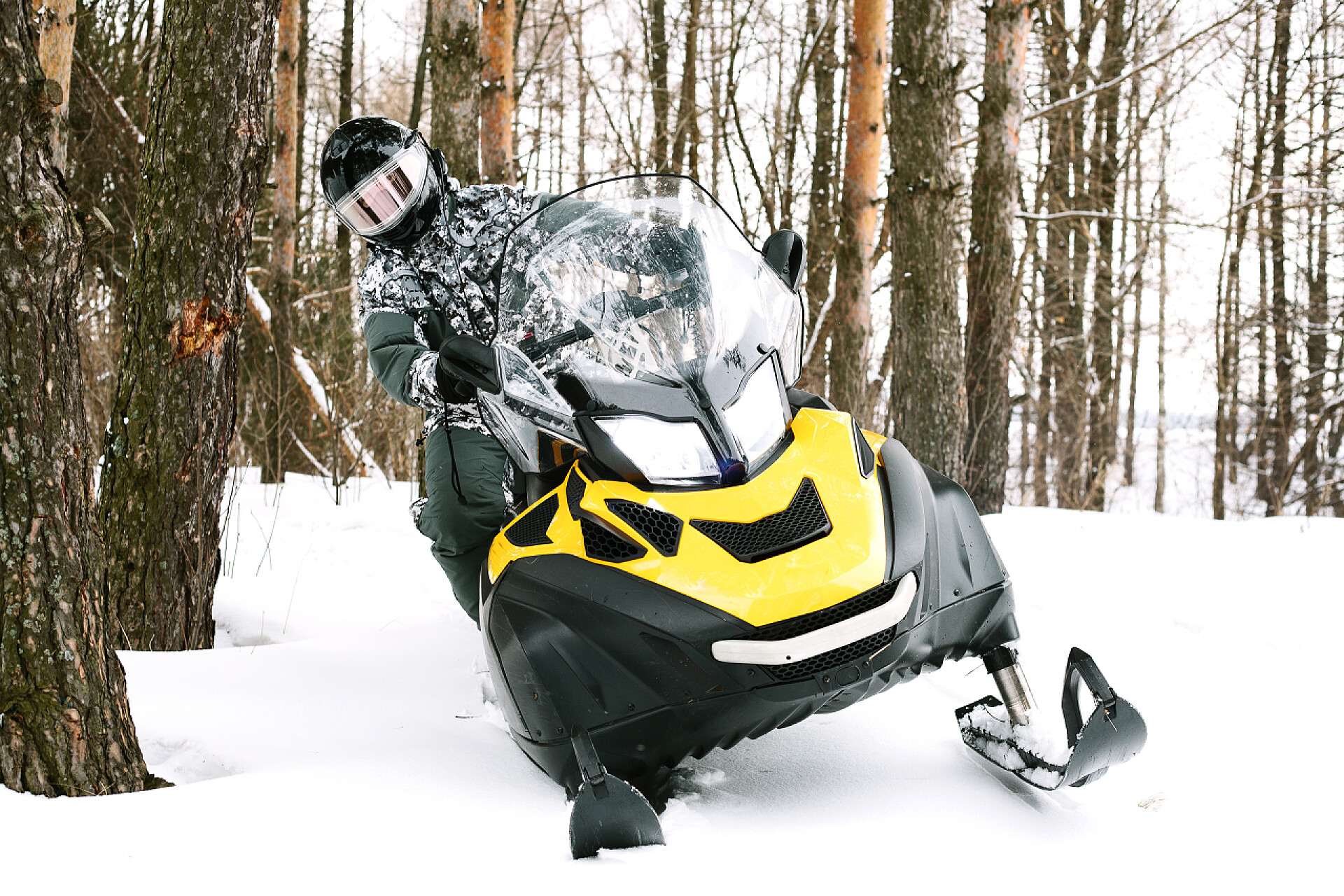 雪车运动员进行冬季运动在雪地上的人。在冬季假期自然休闲观。冬季运动.