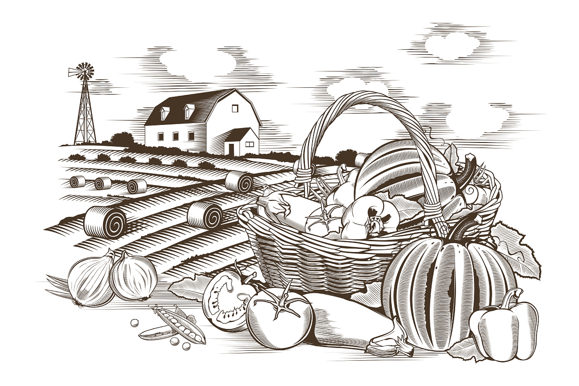 水果篮子和农场的绘画图一篮子蔬菜