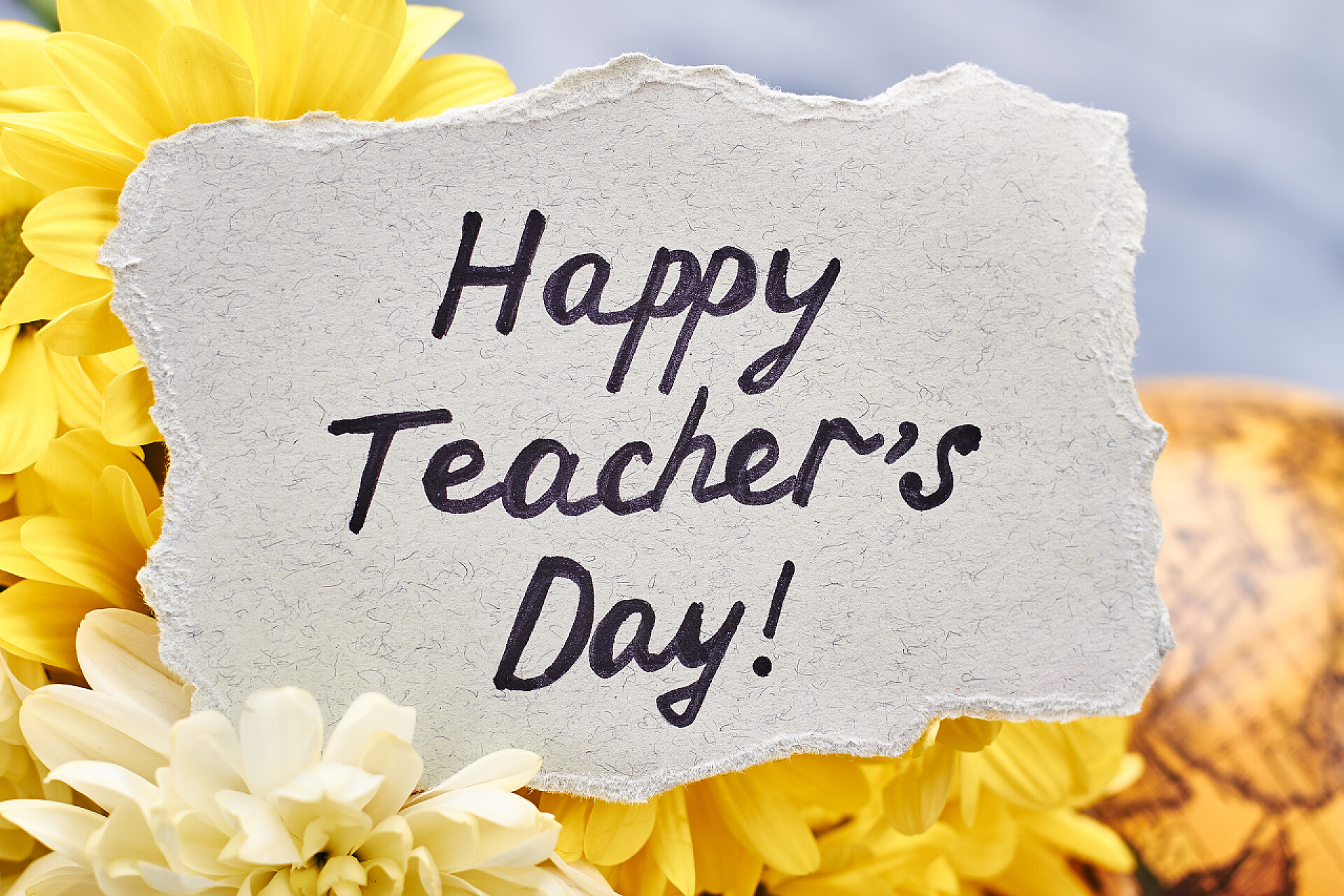 鲜花上的庆祝教师节乐的卡片鲜花、 地球仪和卡.