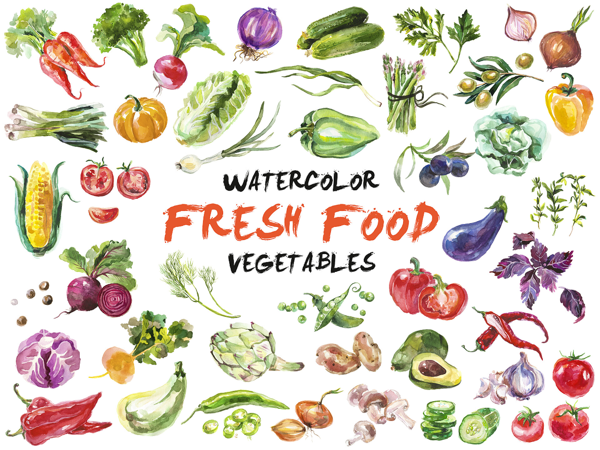 在白色背景上的手绘新鲜食品设计元素水彩画蔬菜上白色孤立