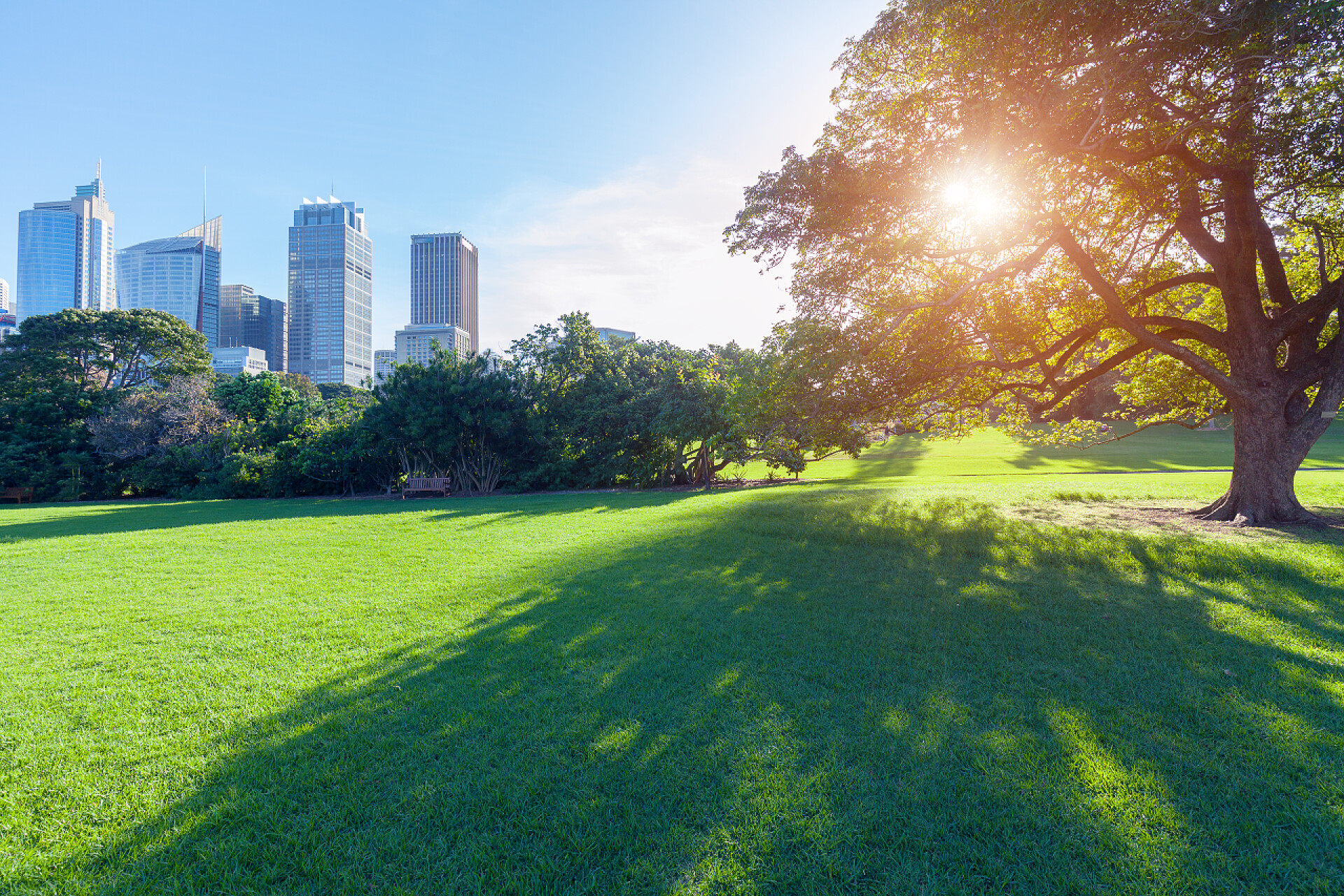 悉尼市植物园景观悉尼市植物园