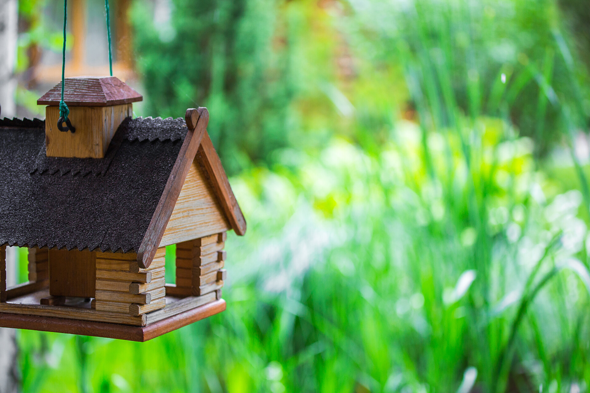 草丛里悬挂式的小木房鸟儿在花园里的房子的一种形式给料机