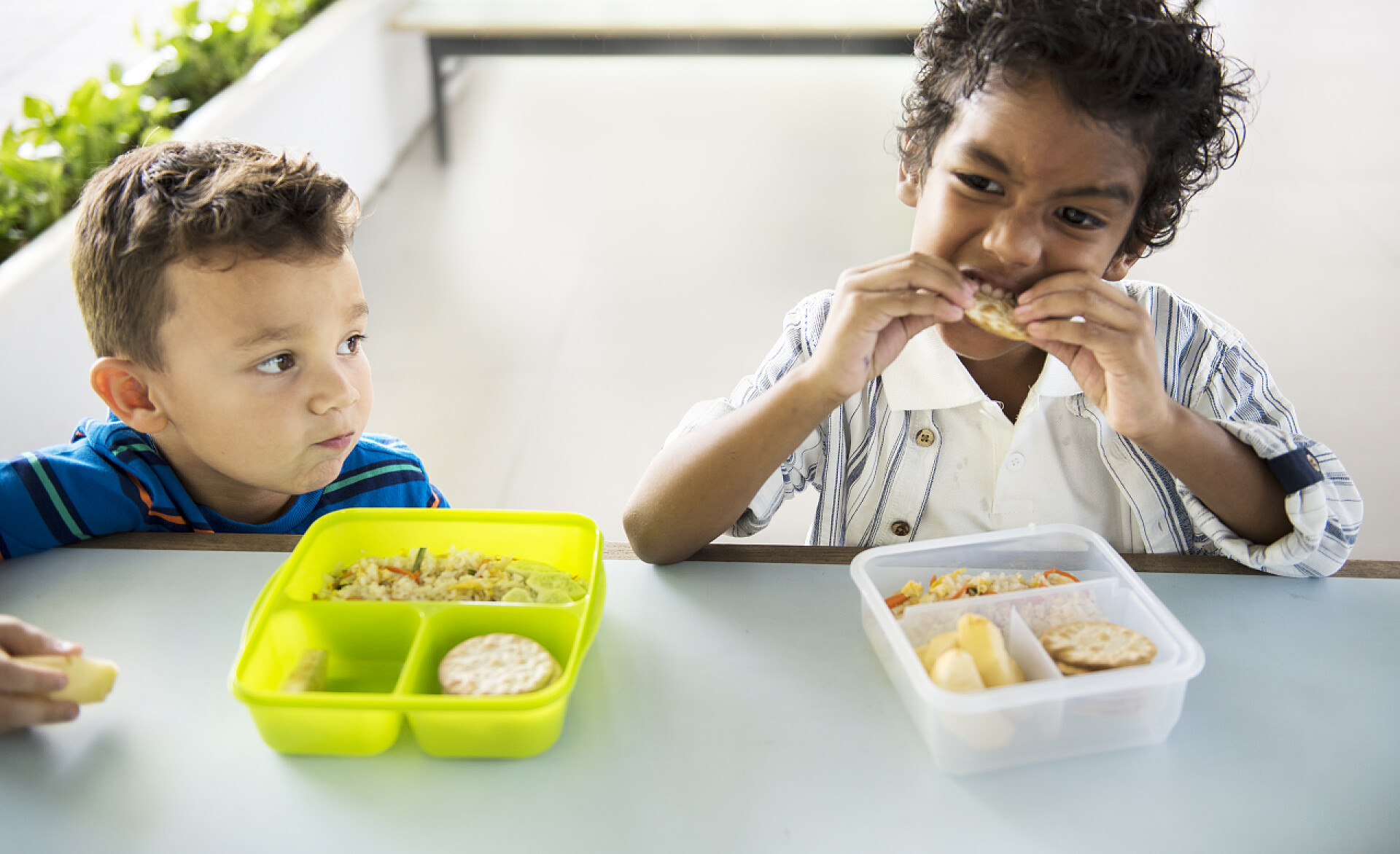 幼儿园的小朋友狼吞虎咽的吃东西特写幼儿园的孩子吃的食物 